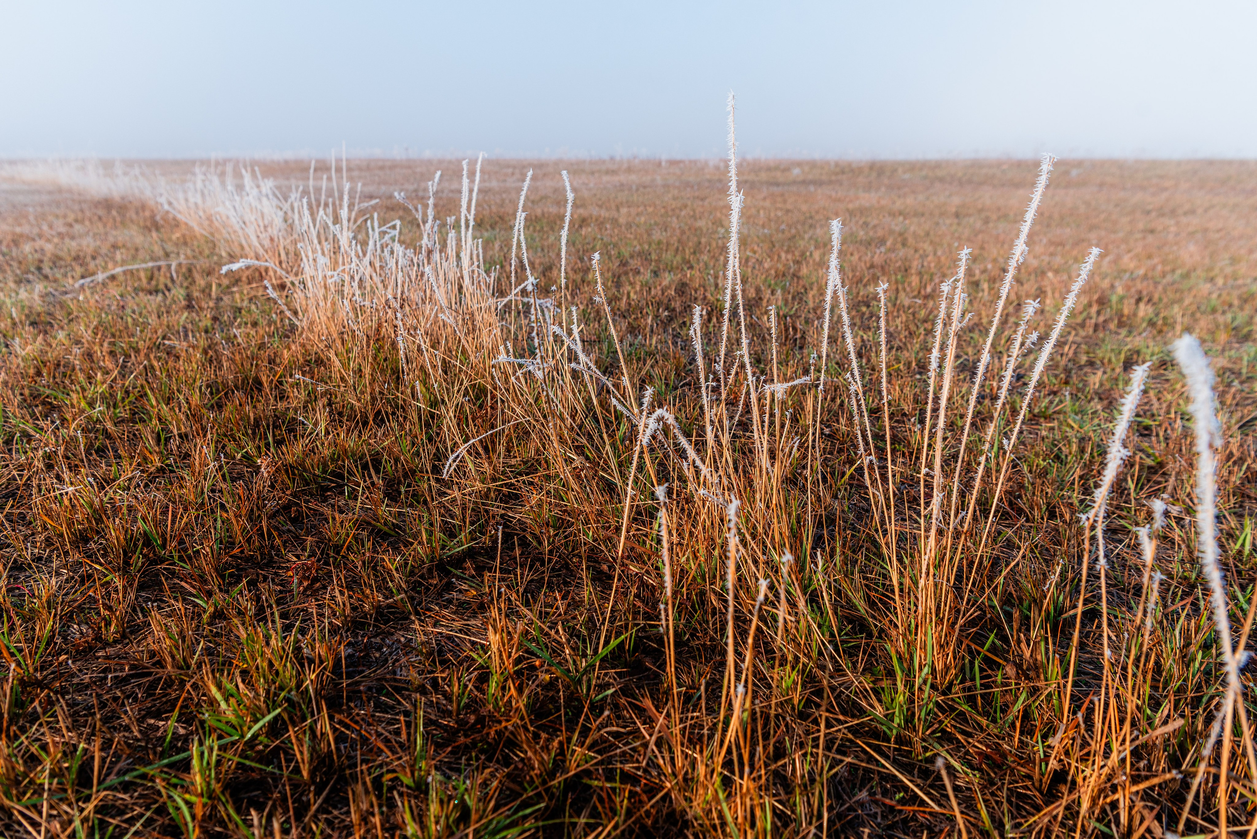 Фотографии утреннего тумана под Волжским. Фотограф в Волгограде и Волжском Александр Горбань