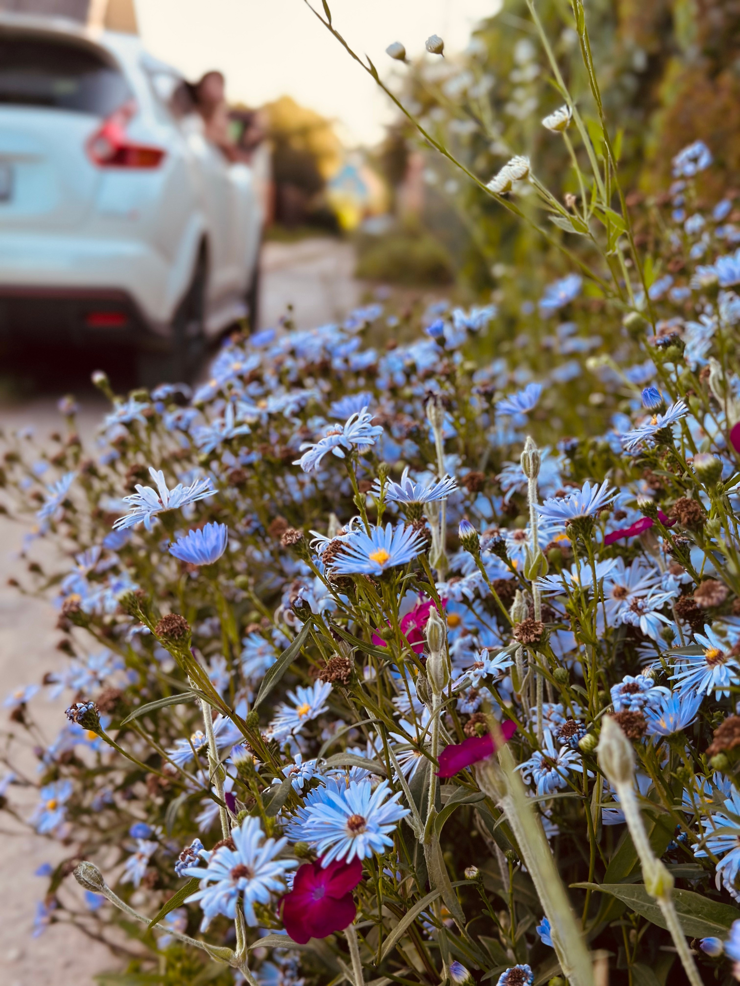 Контент. Фотограф и Контент-креатор в Тамбове Виктория Гуру