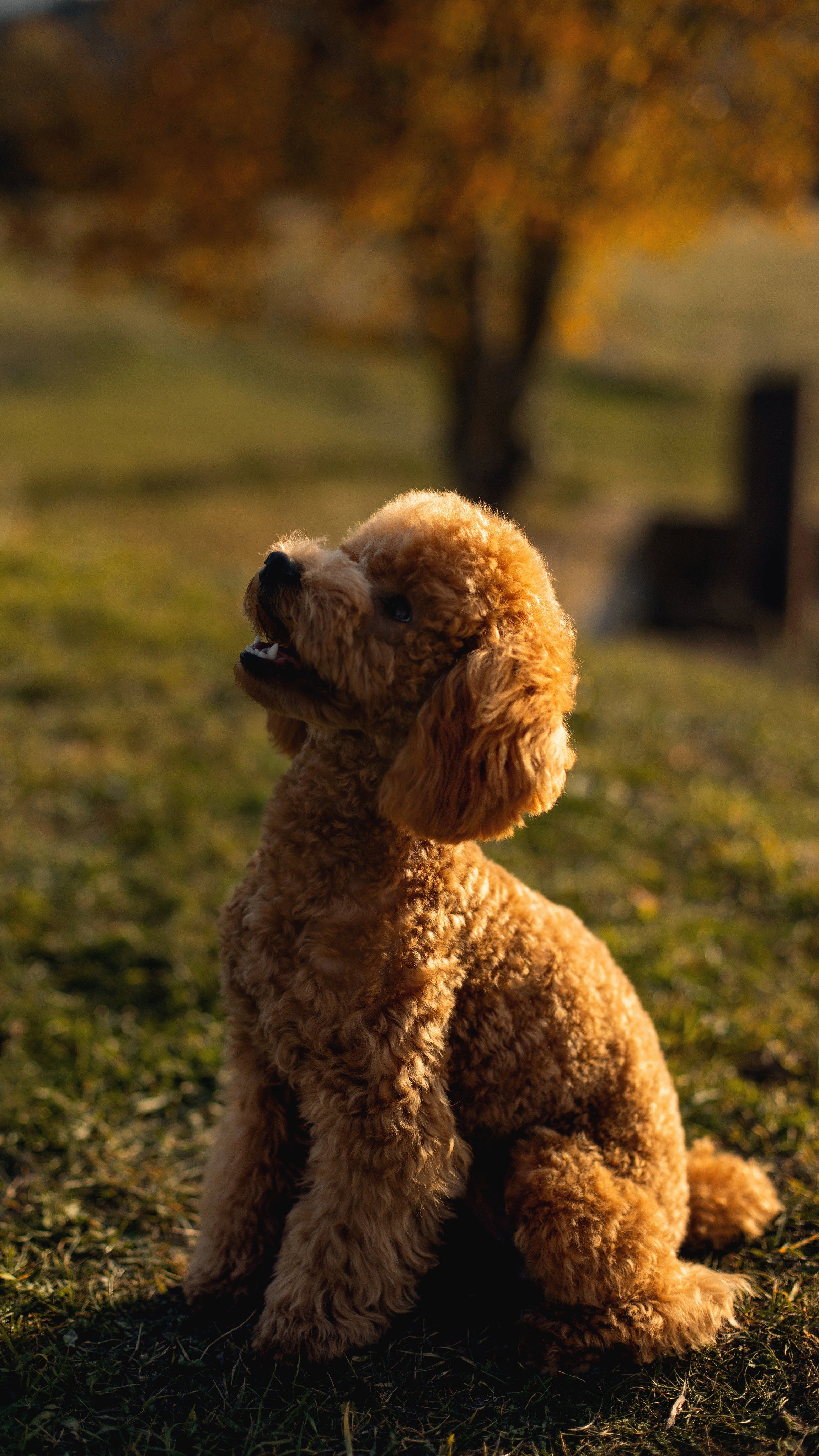 Артём и Анастасия