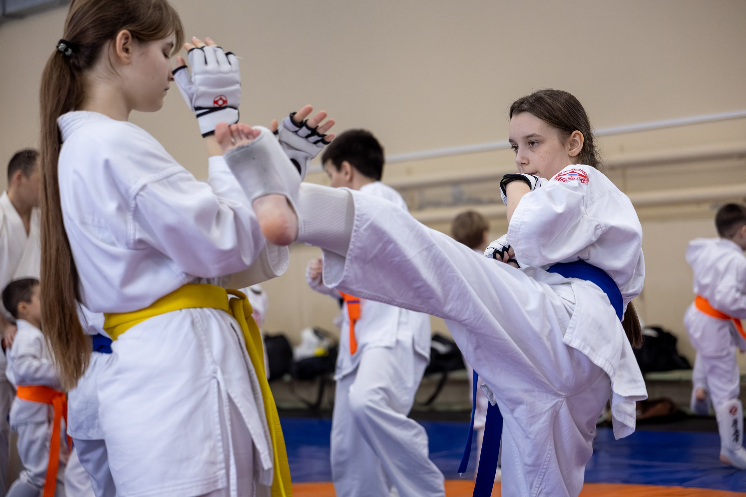 Открытый урок по карате февраль 2026. Главная