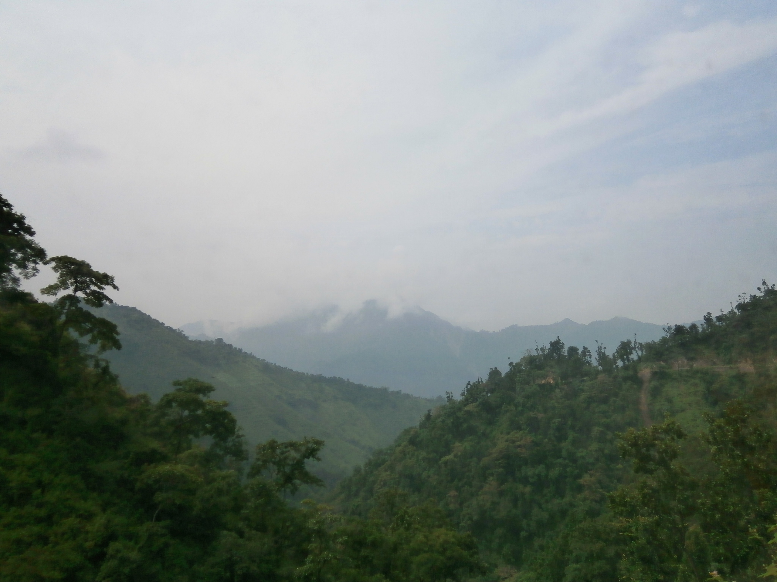 Телесные практики