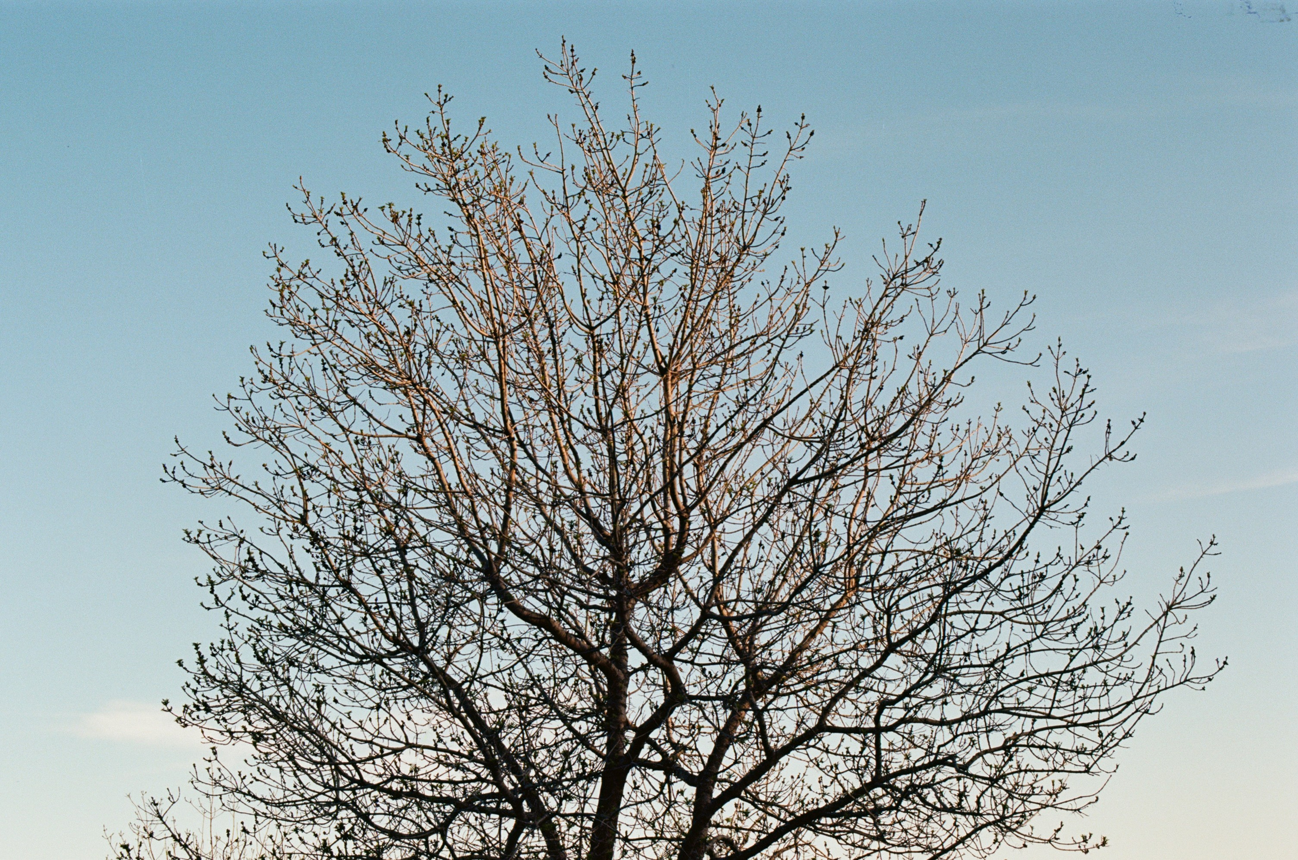 Follow you // ukraine, crimea II. EVER EXPOSED