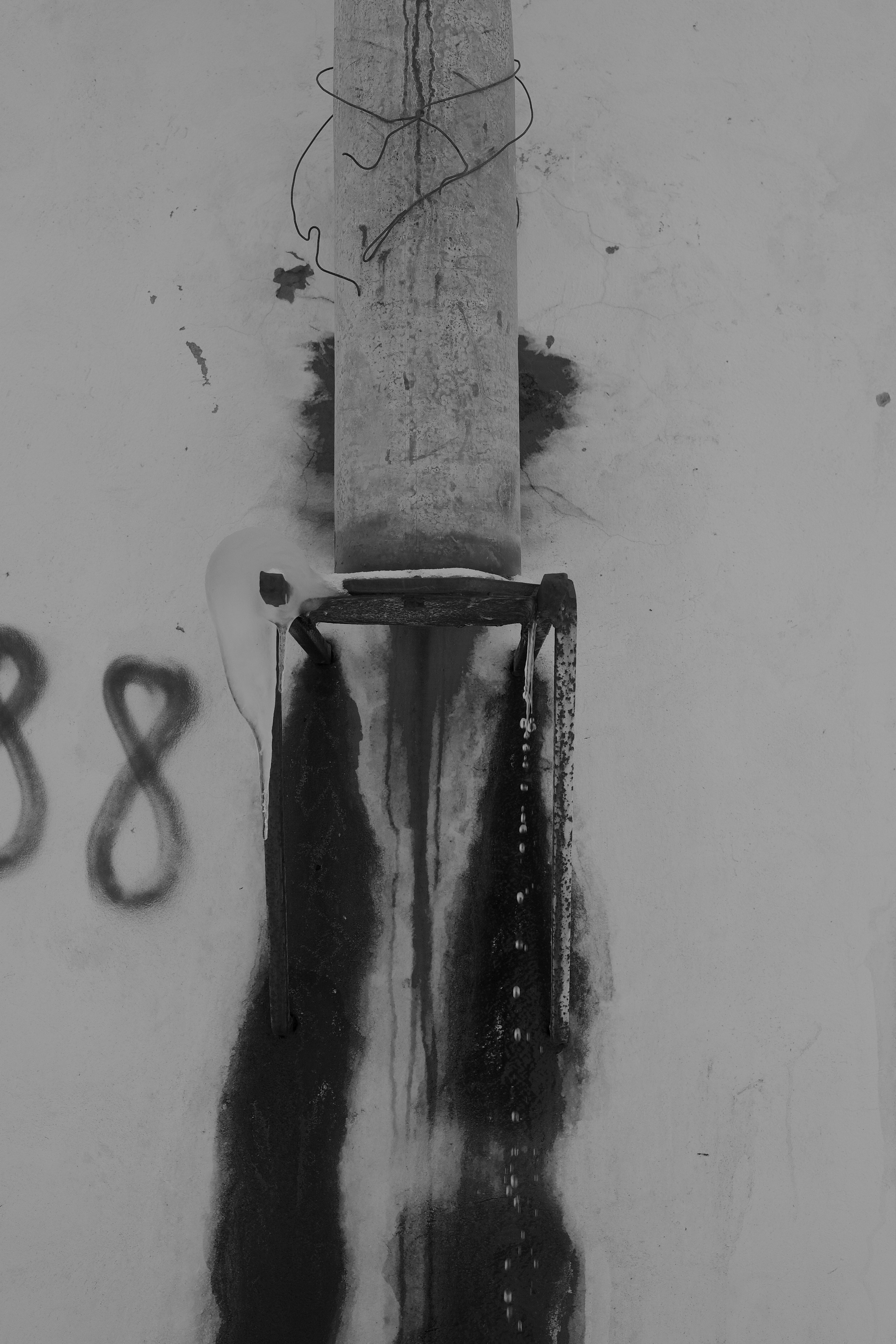 — 2025. Фотограф Злата Спицына