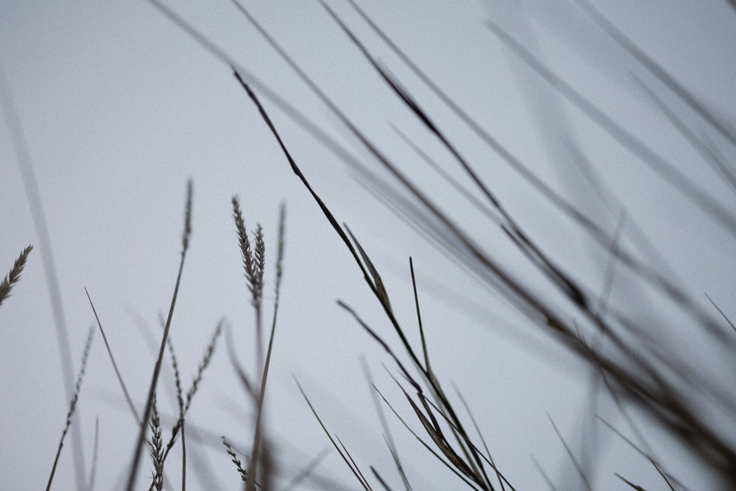 К Чуду. Фотограф Daria Wilner