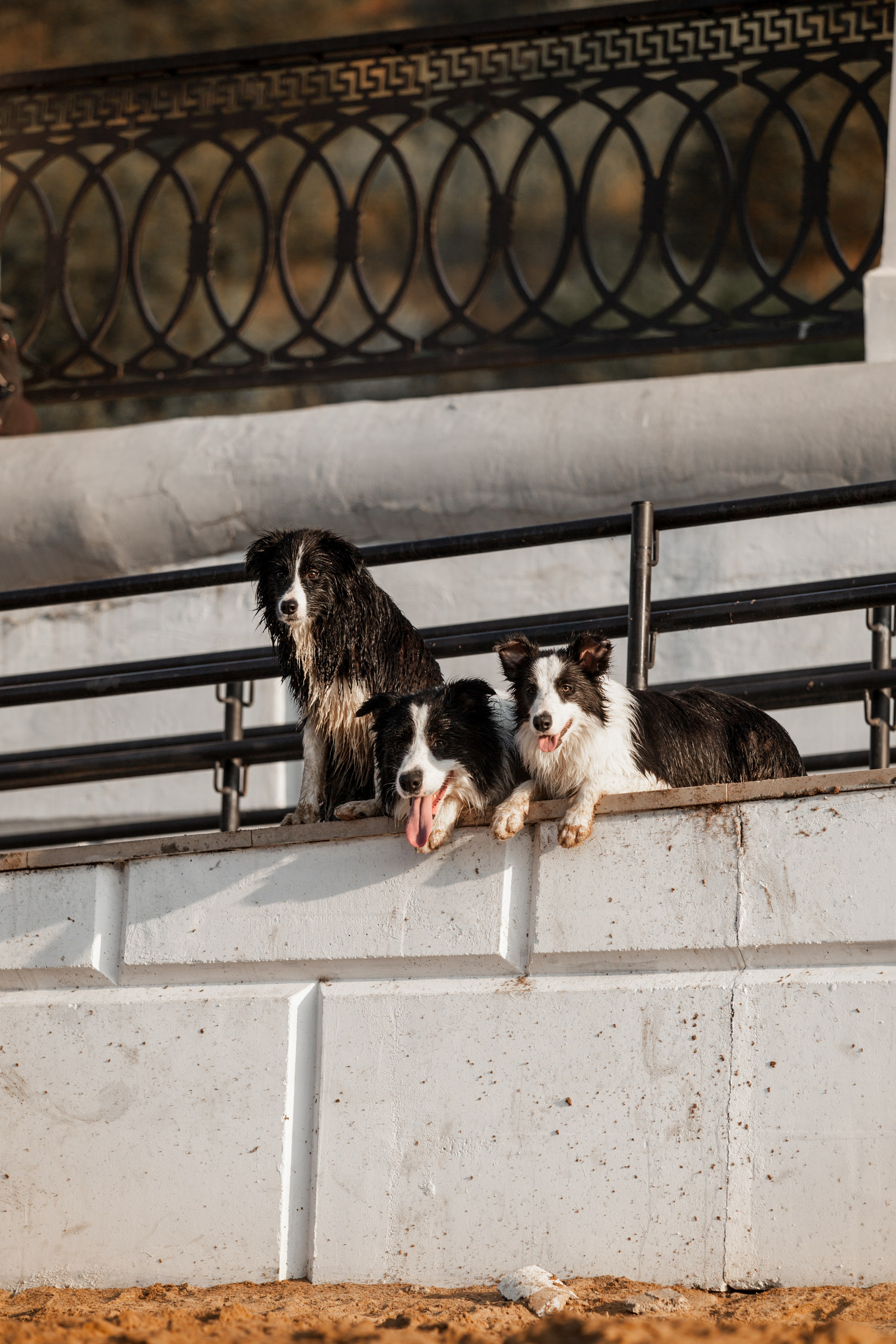 Сочный рассвет, на который решились. О нас