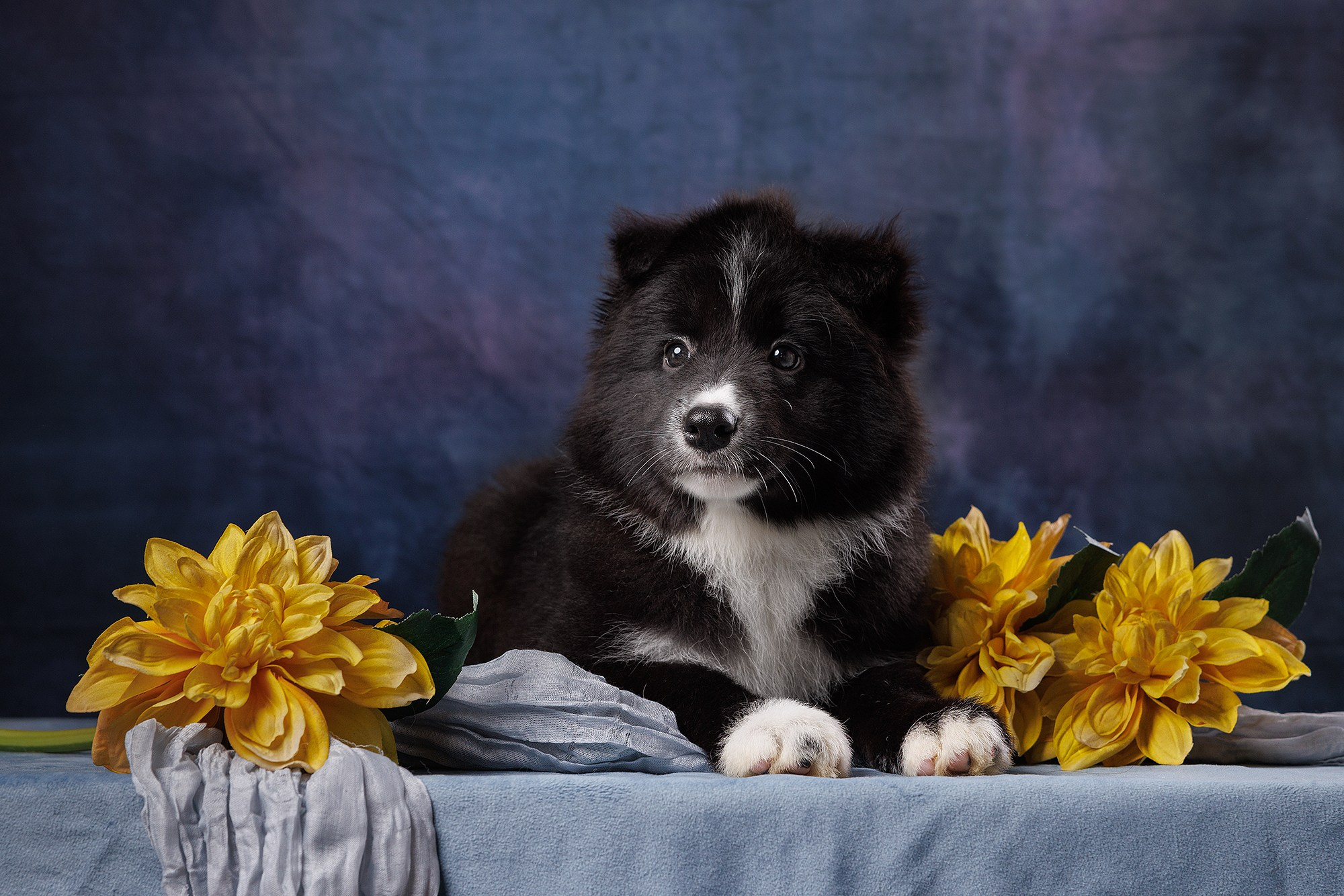 На водной основе. О нас