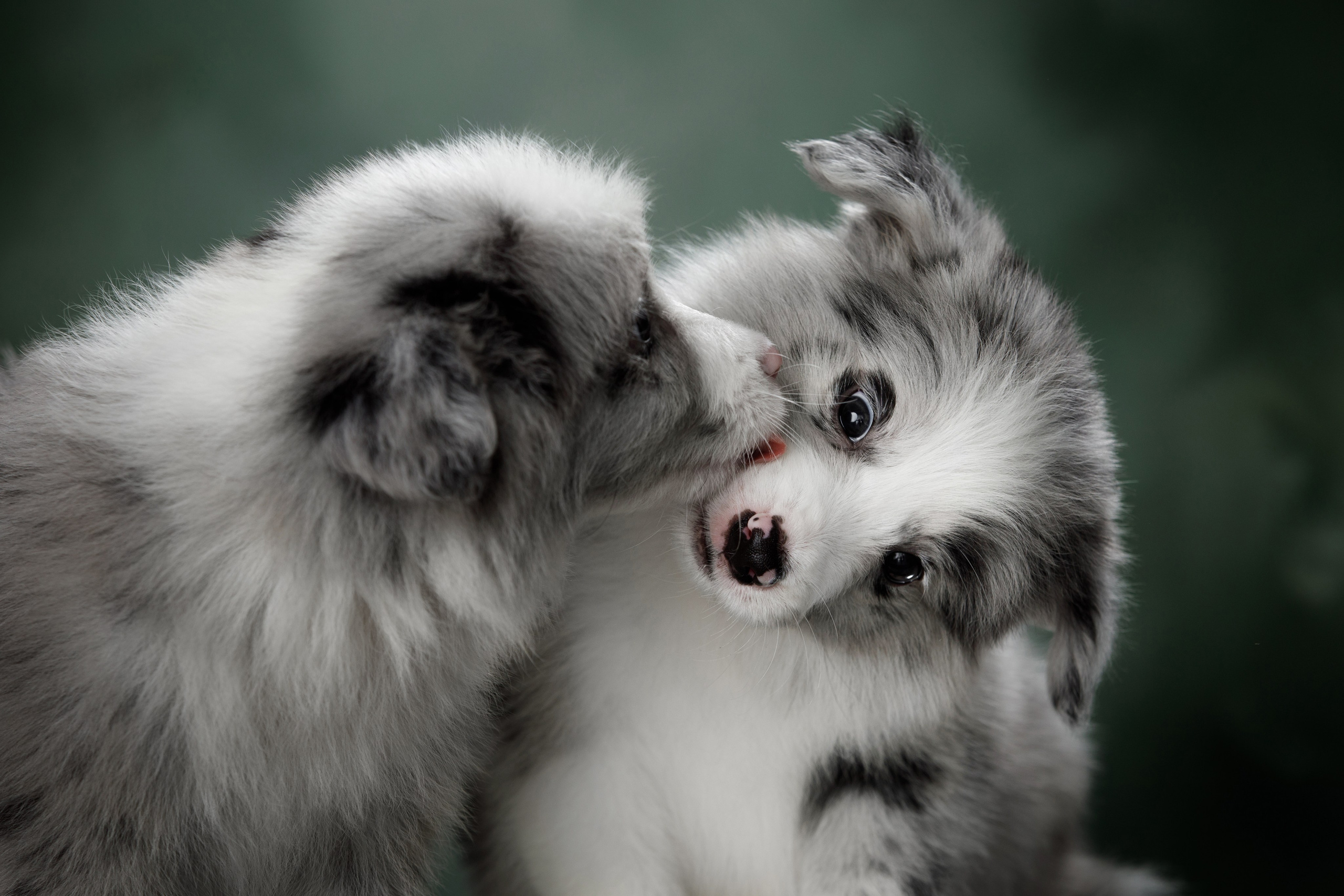 Март. Весна. 22. О нас