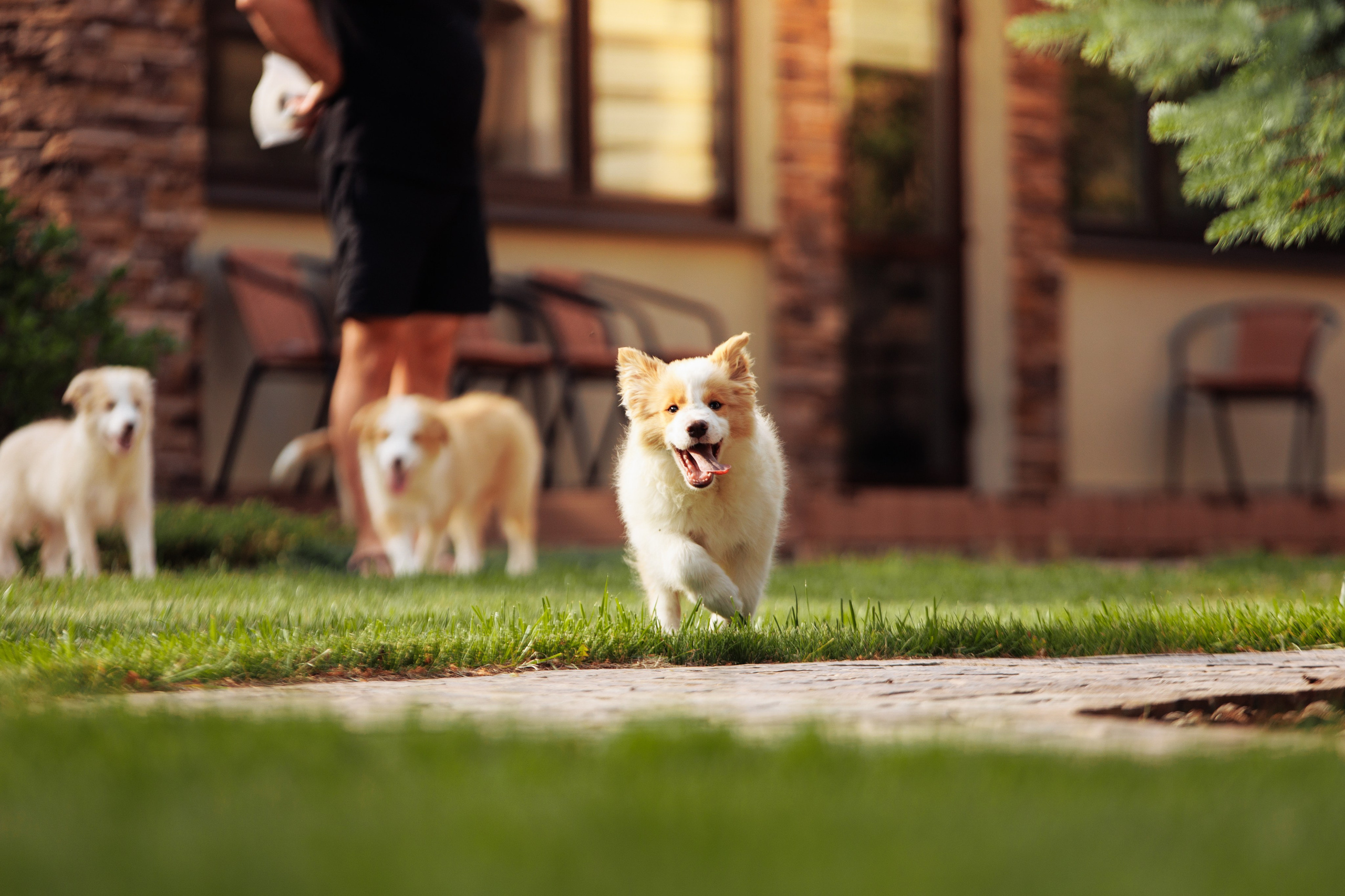 СОлнечные. О нас