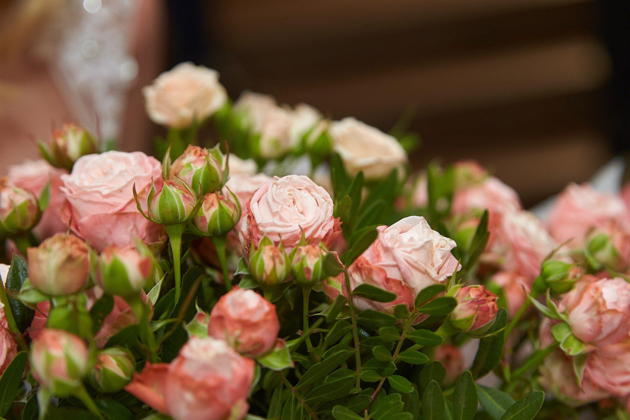 Ольга и Михаил