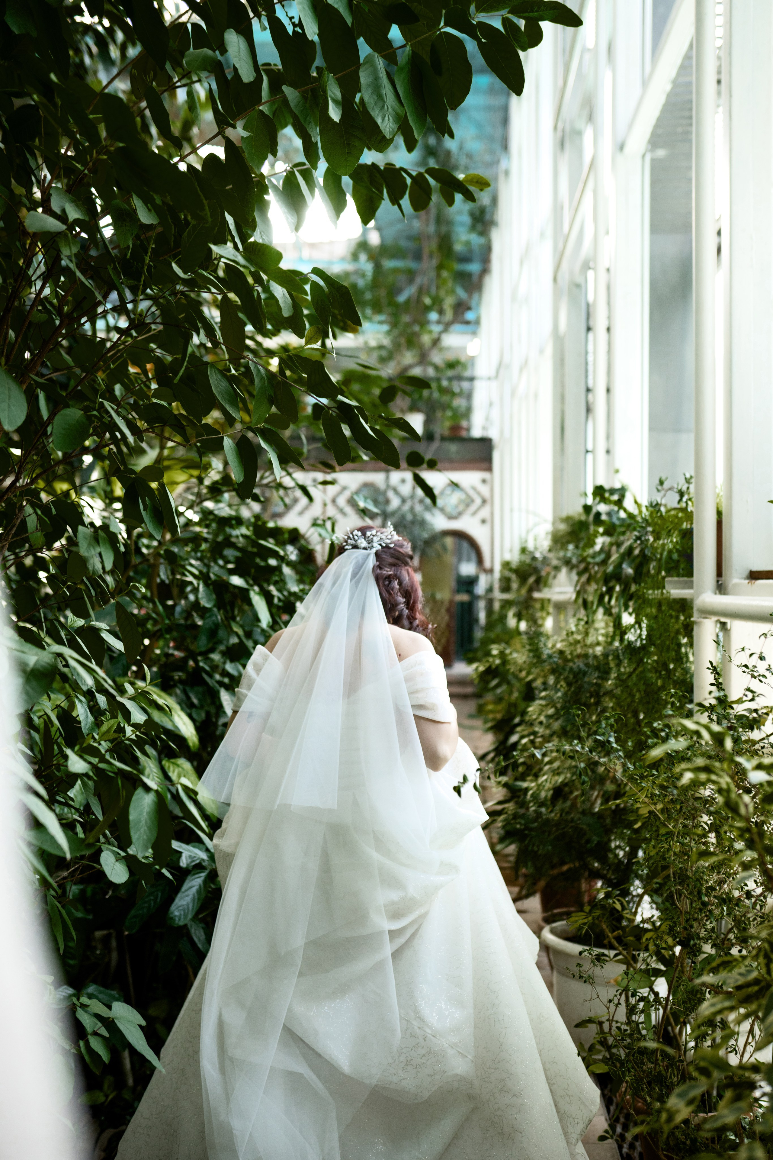 Свадьба | Илья Ксения — 2025