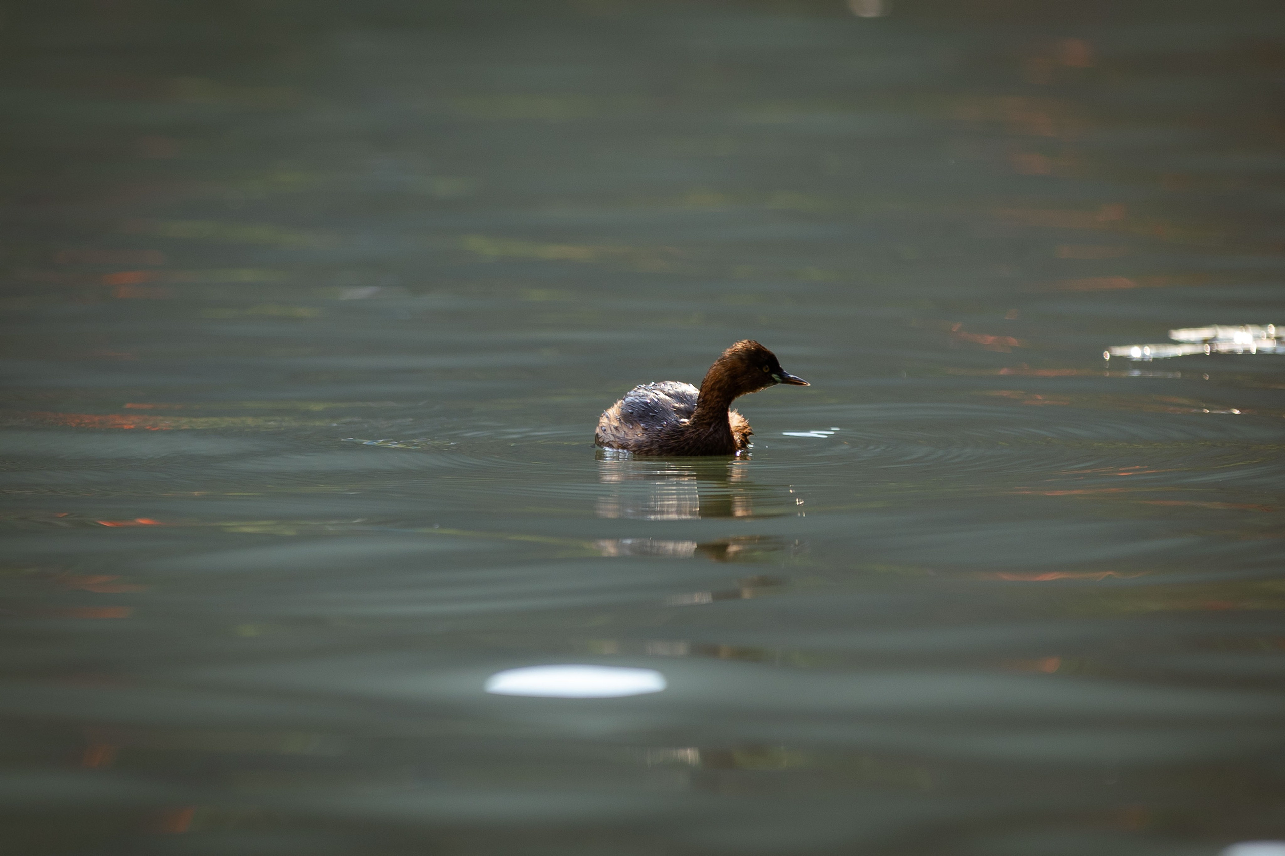 Вьетнам (зима 2025-2026). Фотограф Виноградов Константин