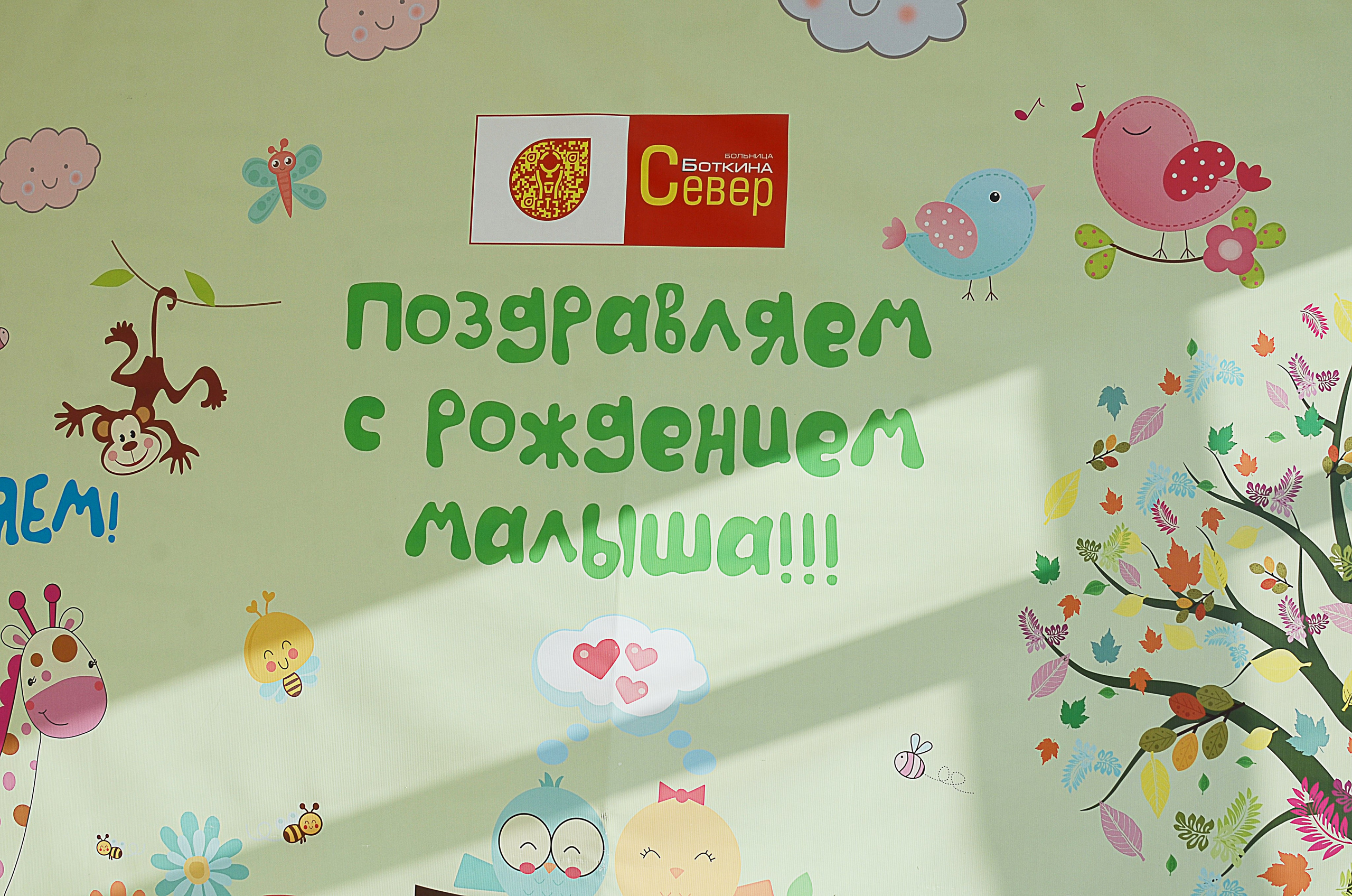 Выписка из роддома Степана. Семейный и детский фотограф в Санкт-Петербурге Баландина Татьяна