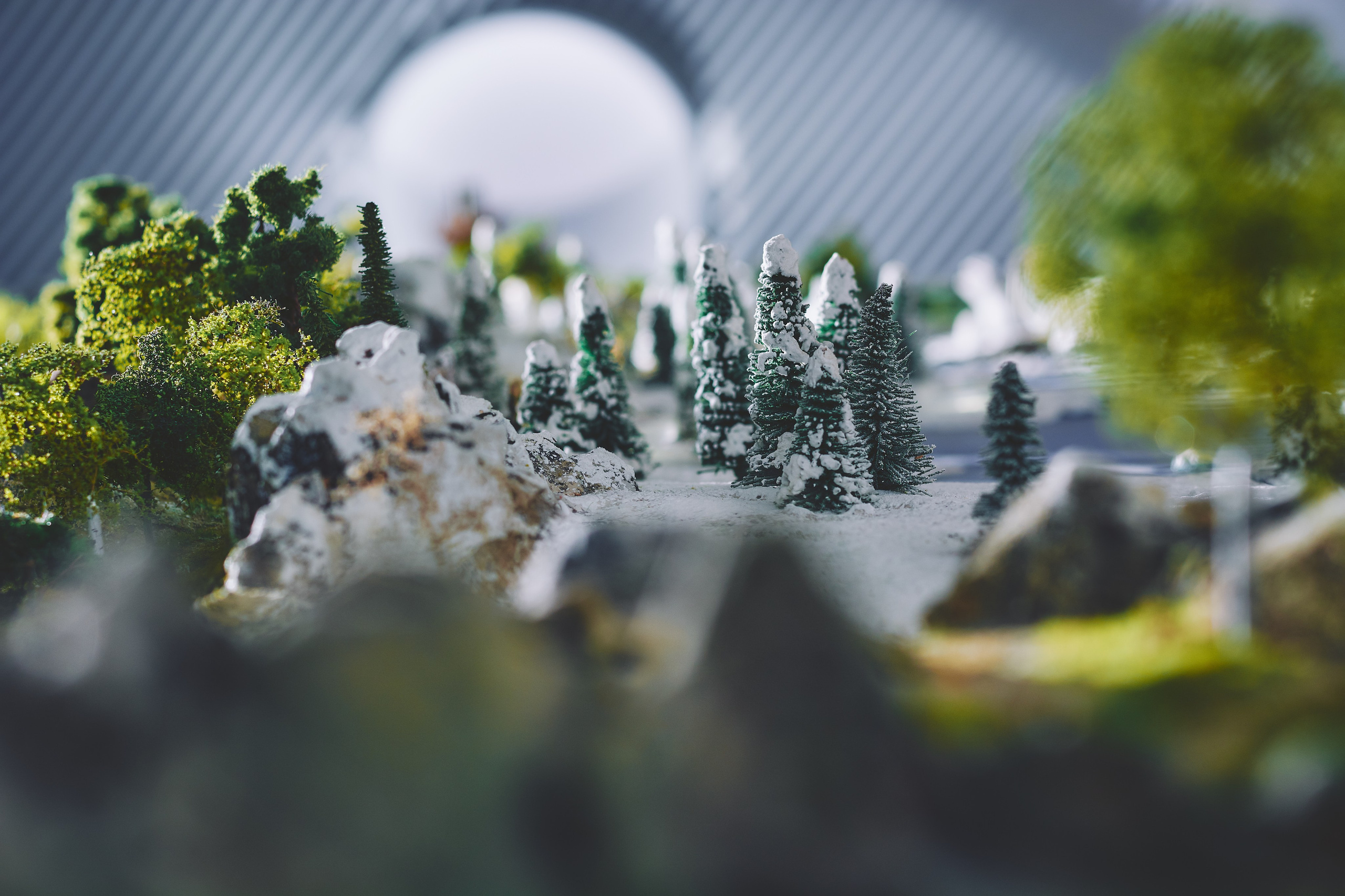 Интерьерная съемка Визит-центр Национальный парк «Кисловодский». Константин Кордонский | Интерьерный и food-фотограф в Кисловодске и КМВ