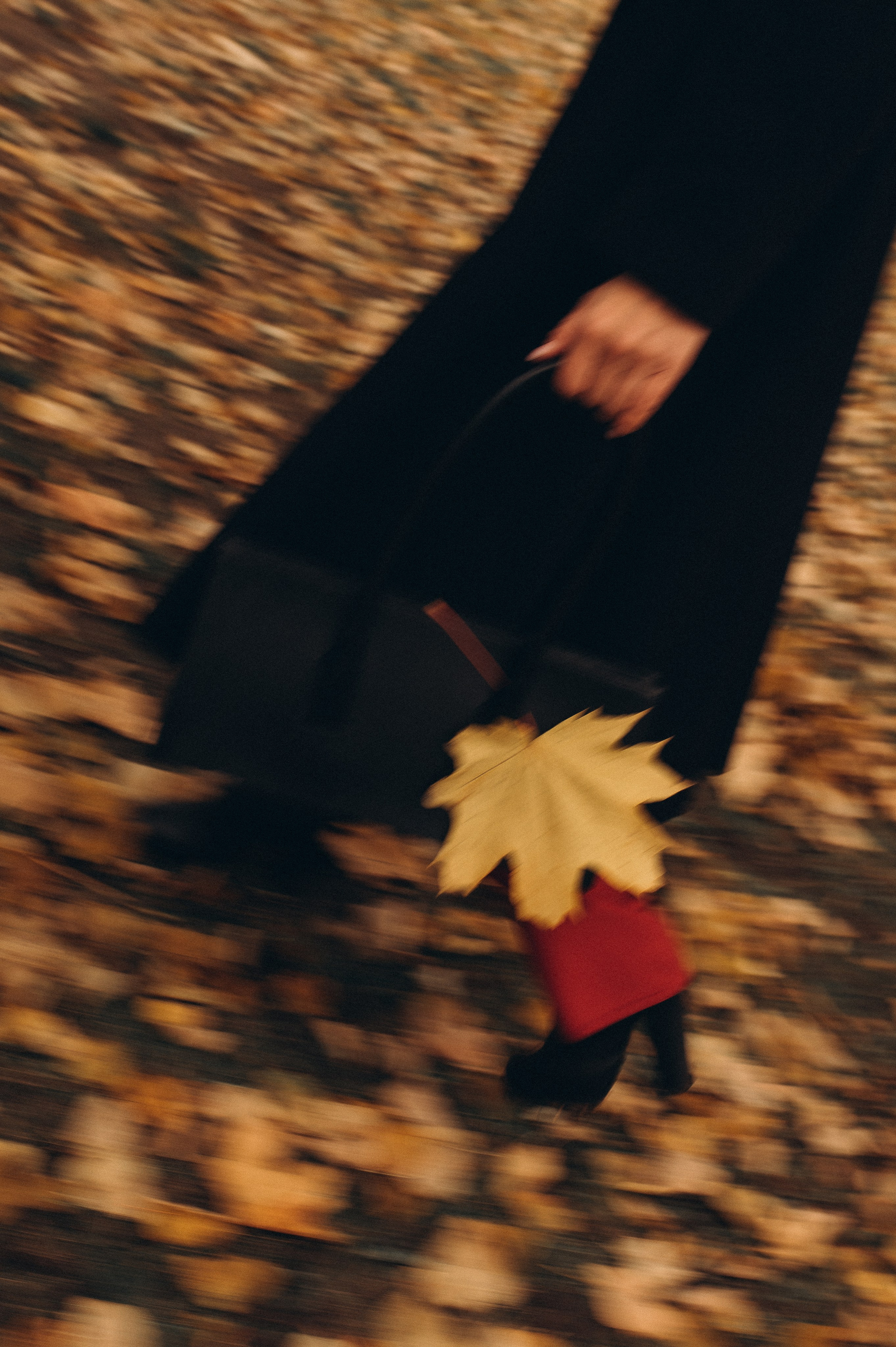 Осенняя индивидуальная фотопрогулка летний сад. Фотограф ПИТЕР СПБ Надежда Баранова