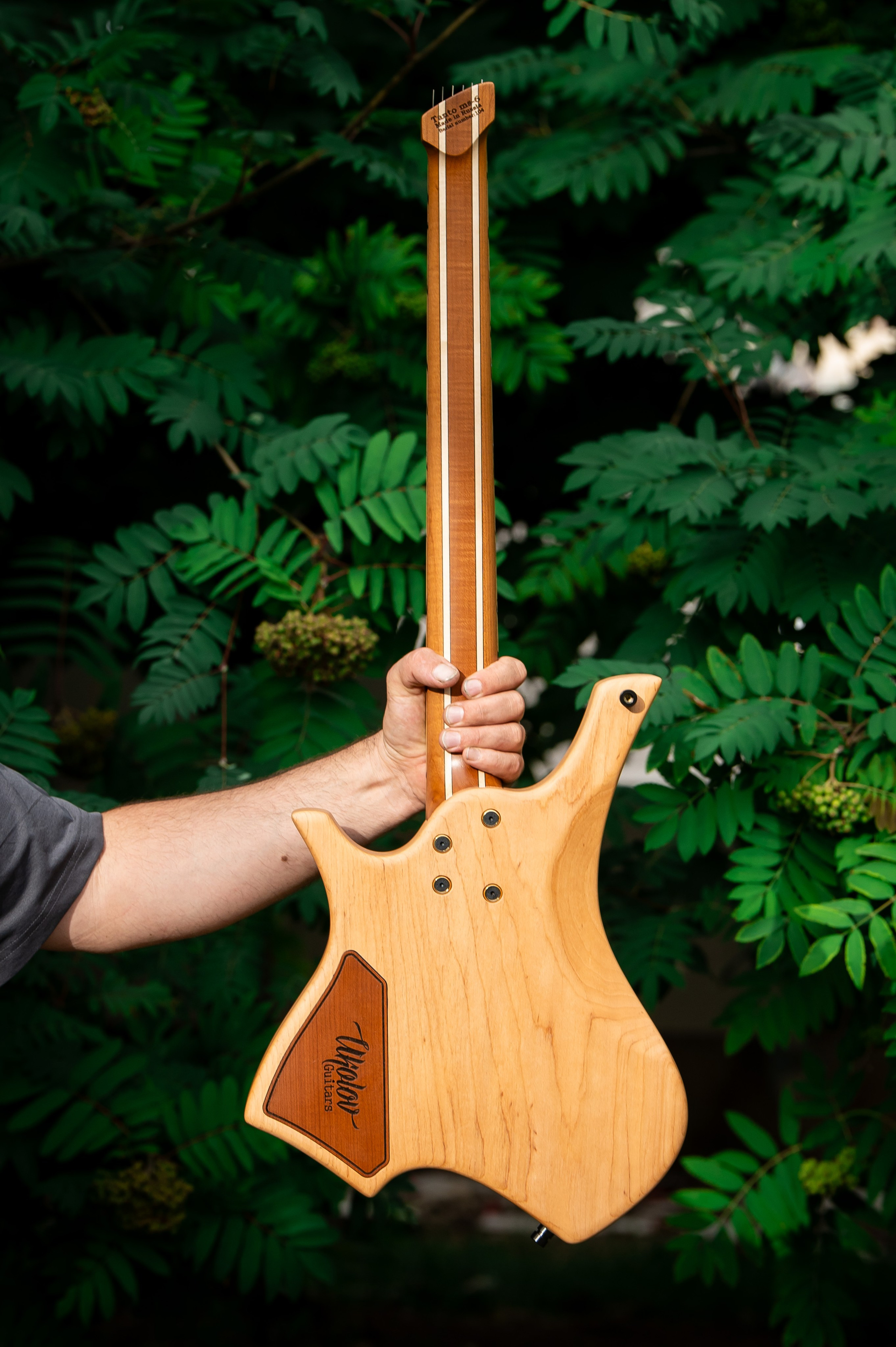 Ukolov Guitars. Главная