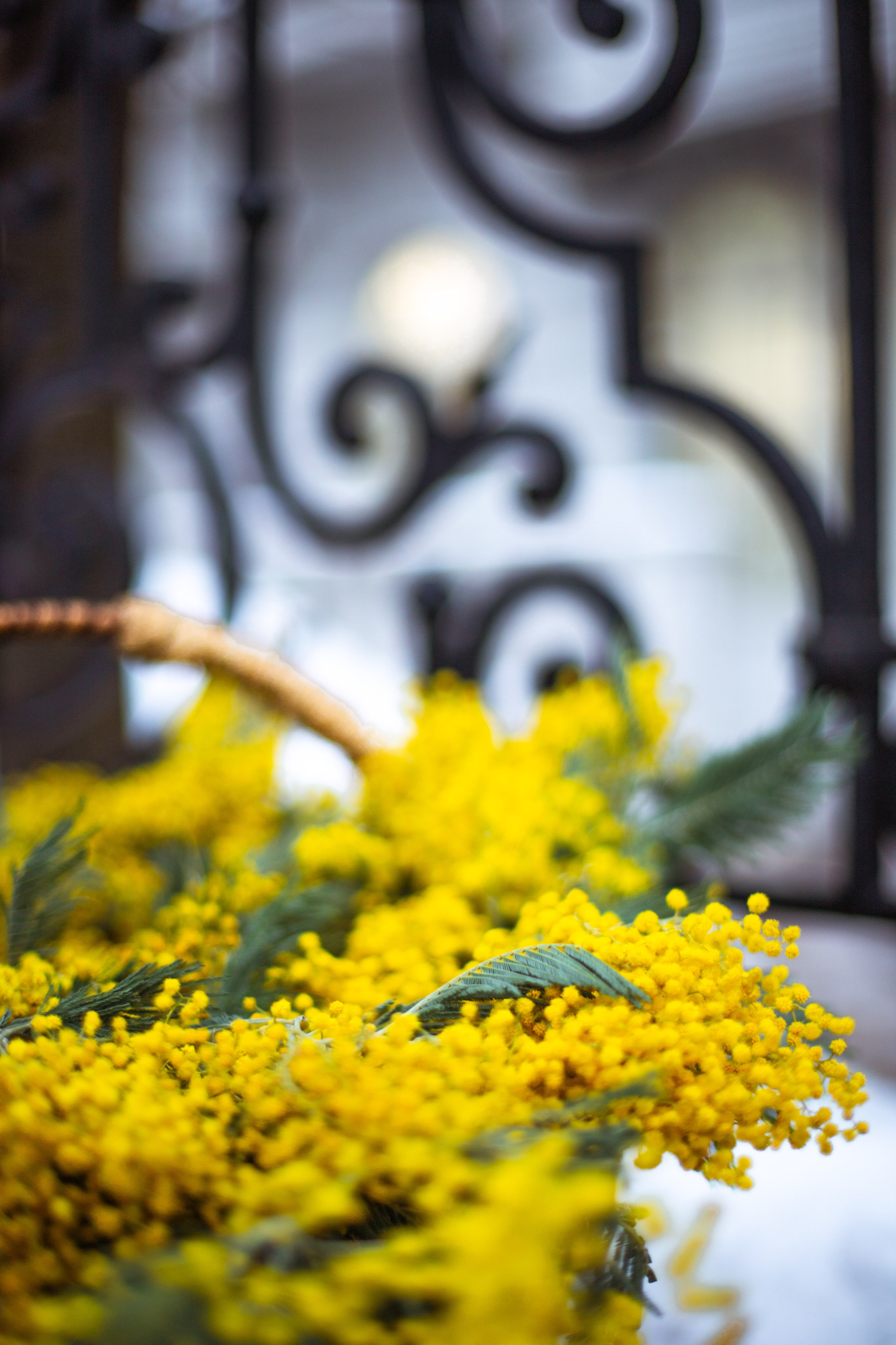 За пять минут до весны…. SaGaFOTO.ru