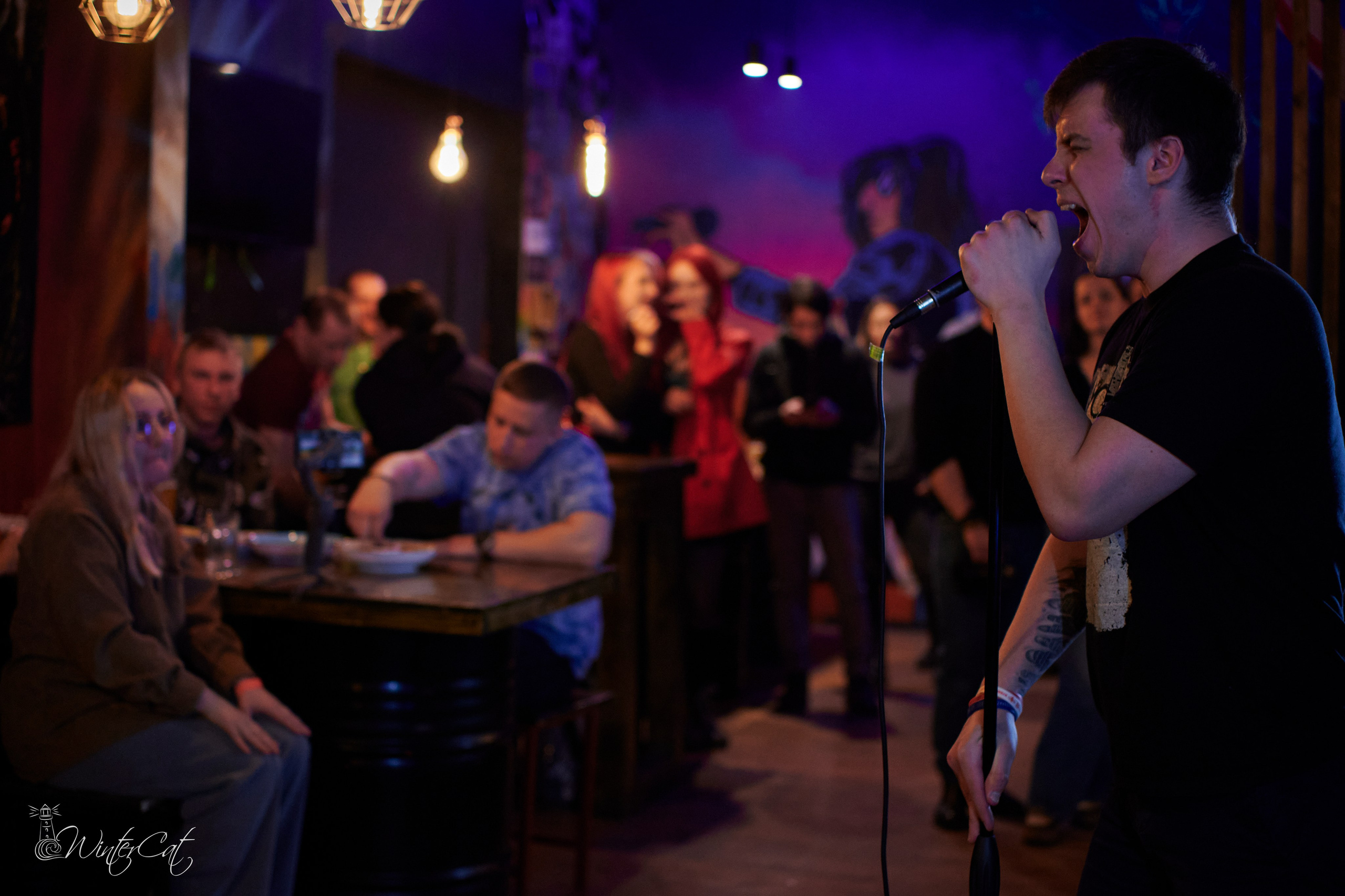 День Рождения Честер Четыре Года. Портретный и репортажный фотограф в Магадане Андрей Нефедов WinterCatPhoto