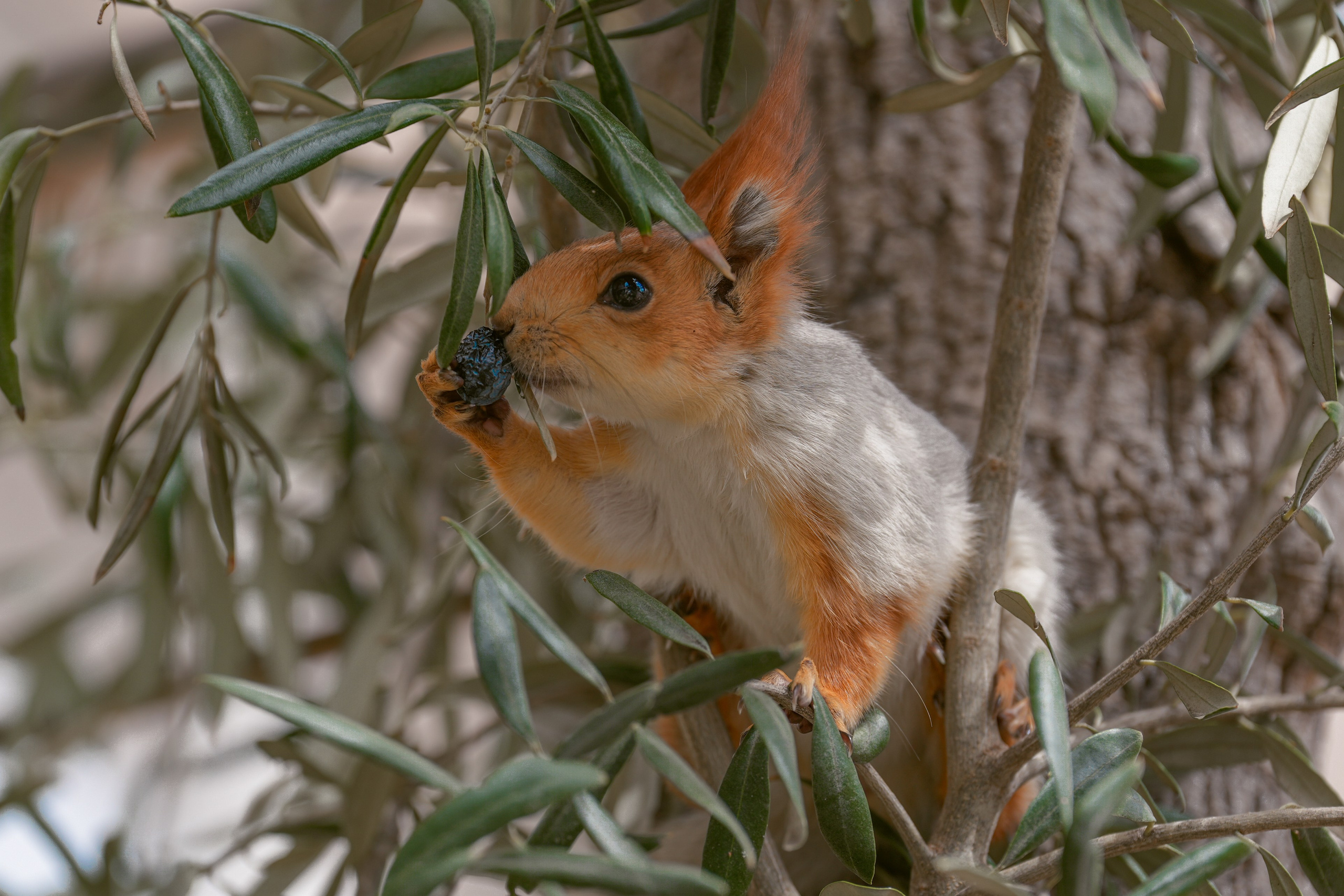 Фотосессия семейная и детская. Фотограф на крещение и венчание в Екатеринбурге. Ольга Мезенцева