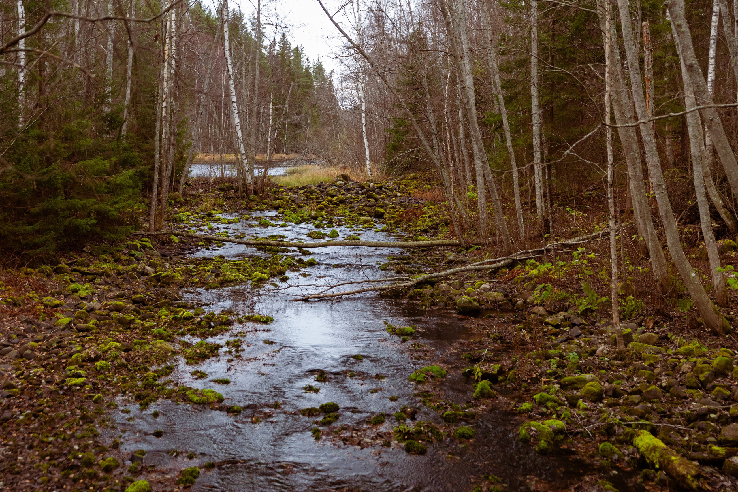 Большое путешествие в Карелию на машине. Марина Захарова — Фотограф. Москва / Marina Zakharova — Photographer