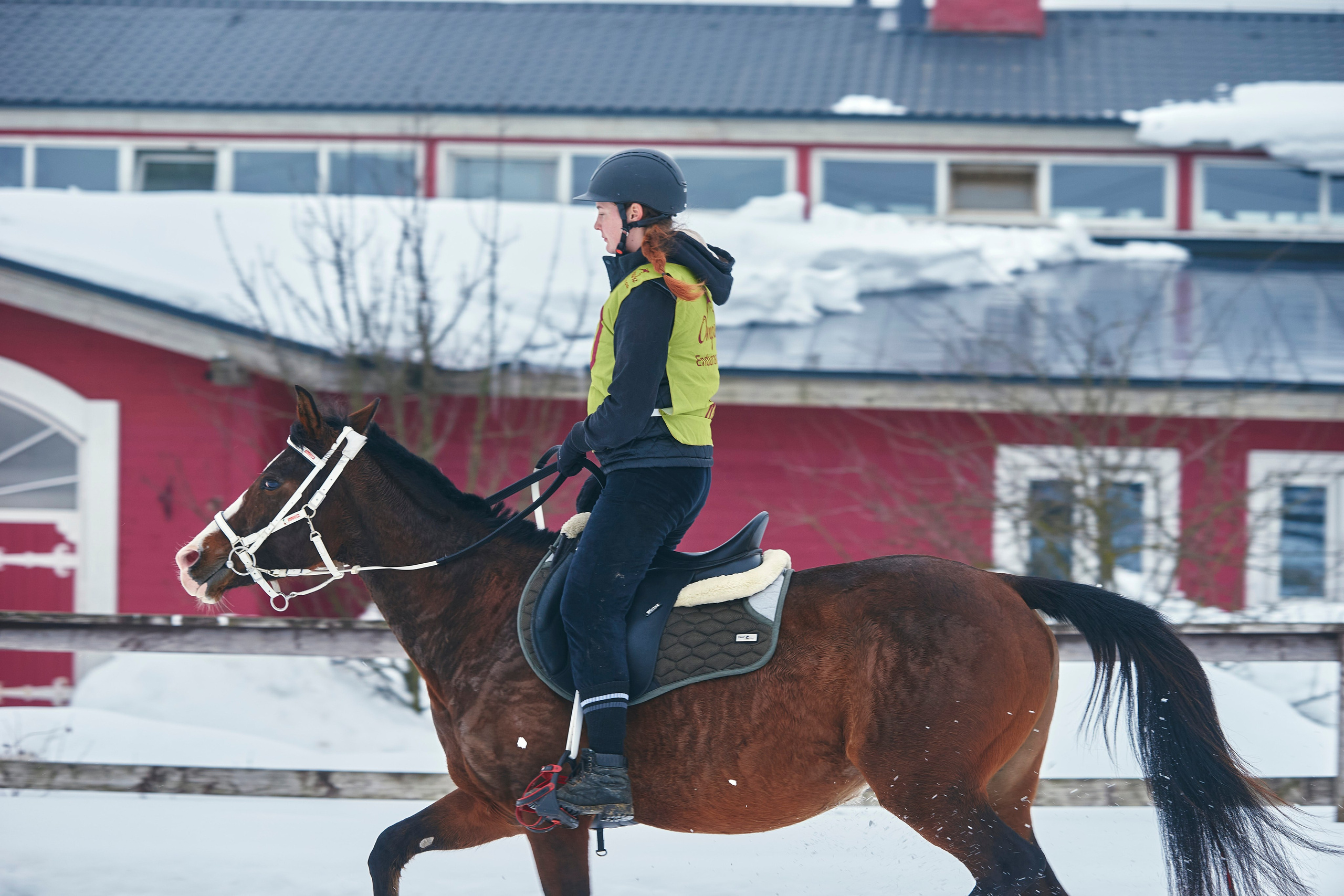 HORSE RACING. Фотограф Наталья Леонова