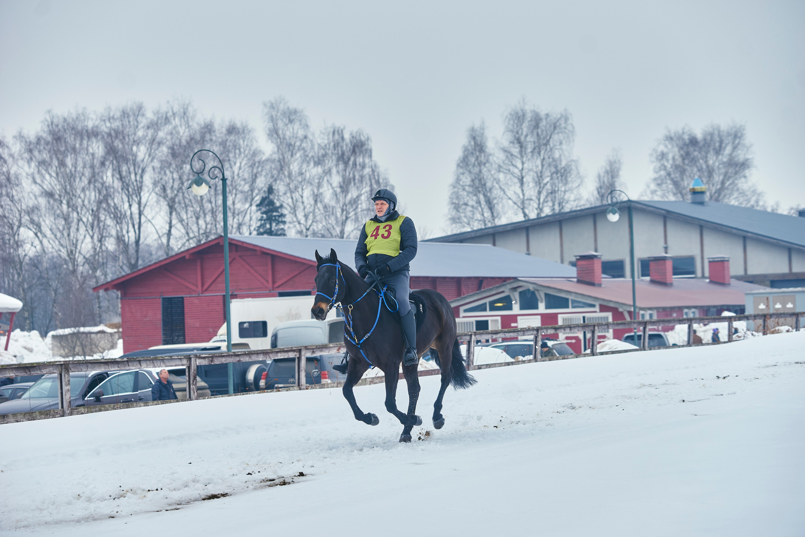 HORSE RACING. Фотограф Наталья Леонова