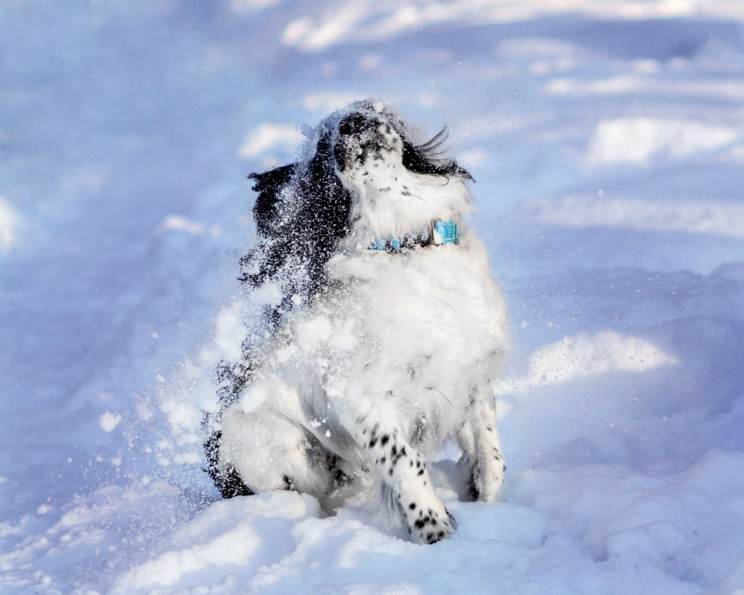 Саша и Стив