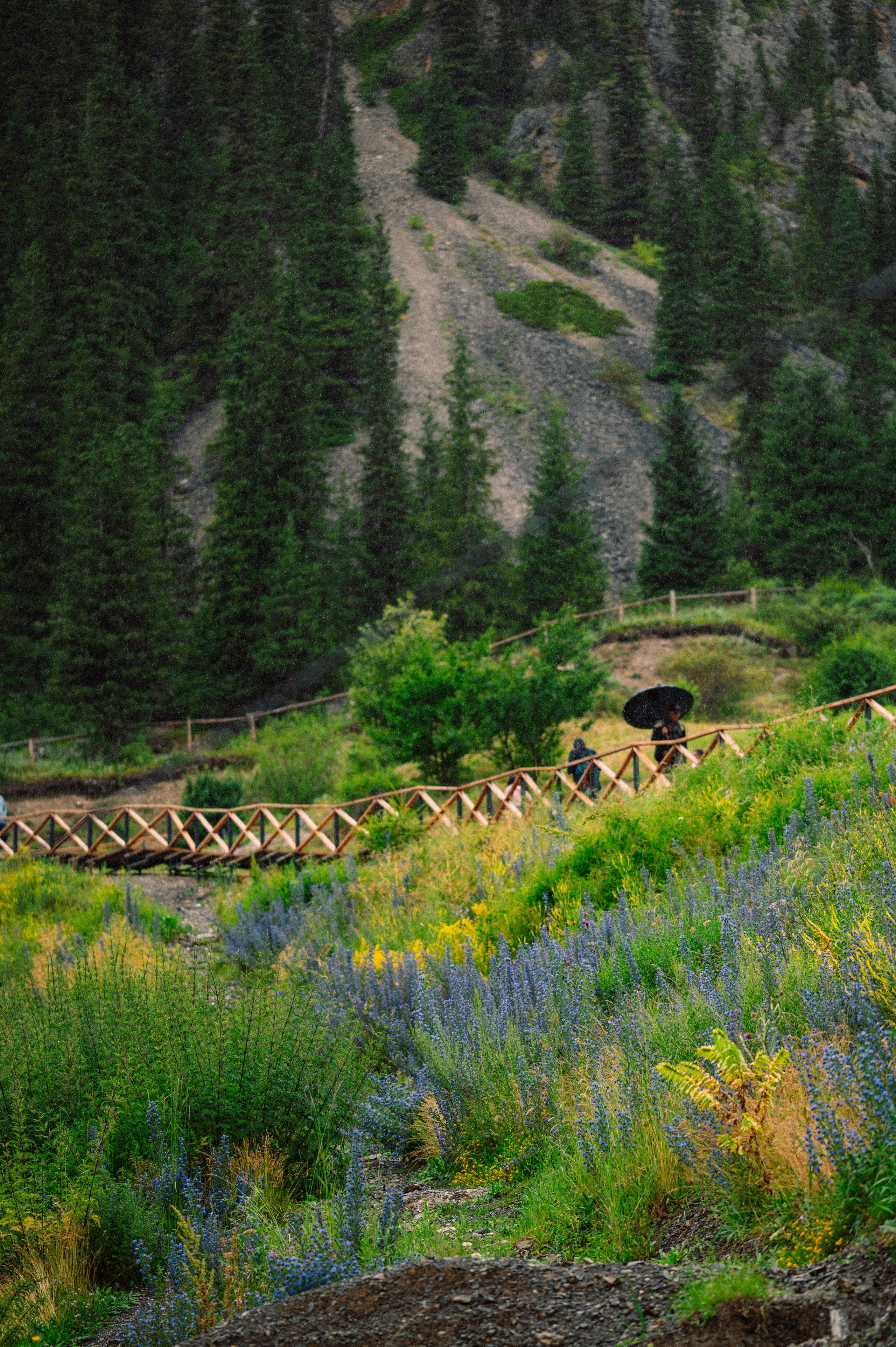 Чарын-Кольсай: лето 2024. Фотограф в Алматы — Дарья Фёдорова