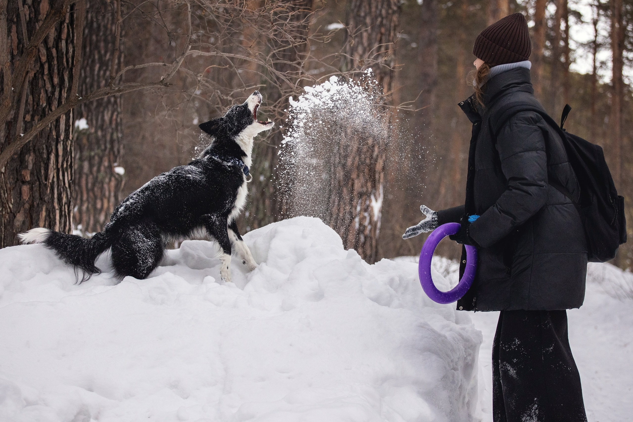 Арина и Грейс. YULA KOLESOVA | Фотограф — Анималист | Художник | Тюмень