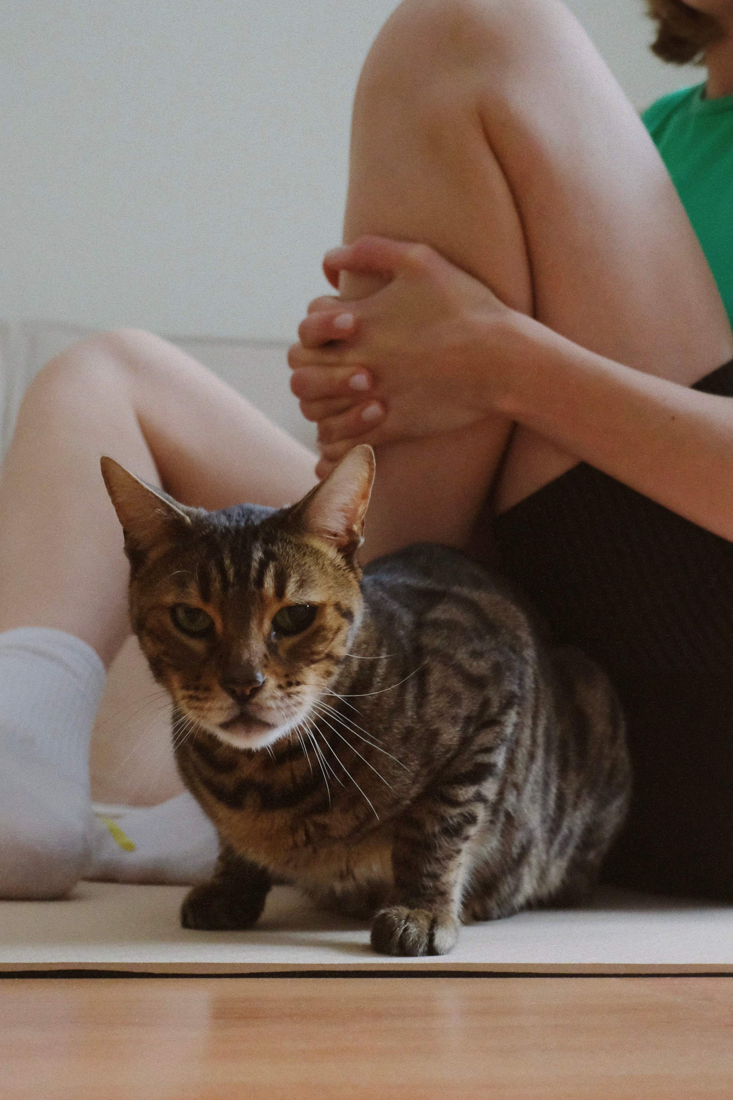 Дома. Татьян гертье