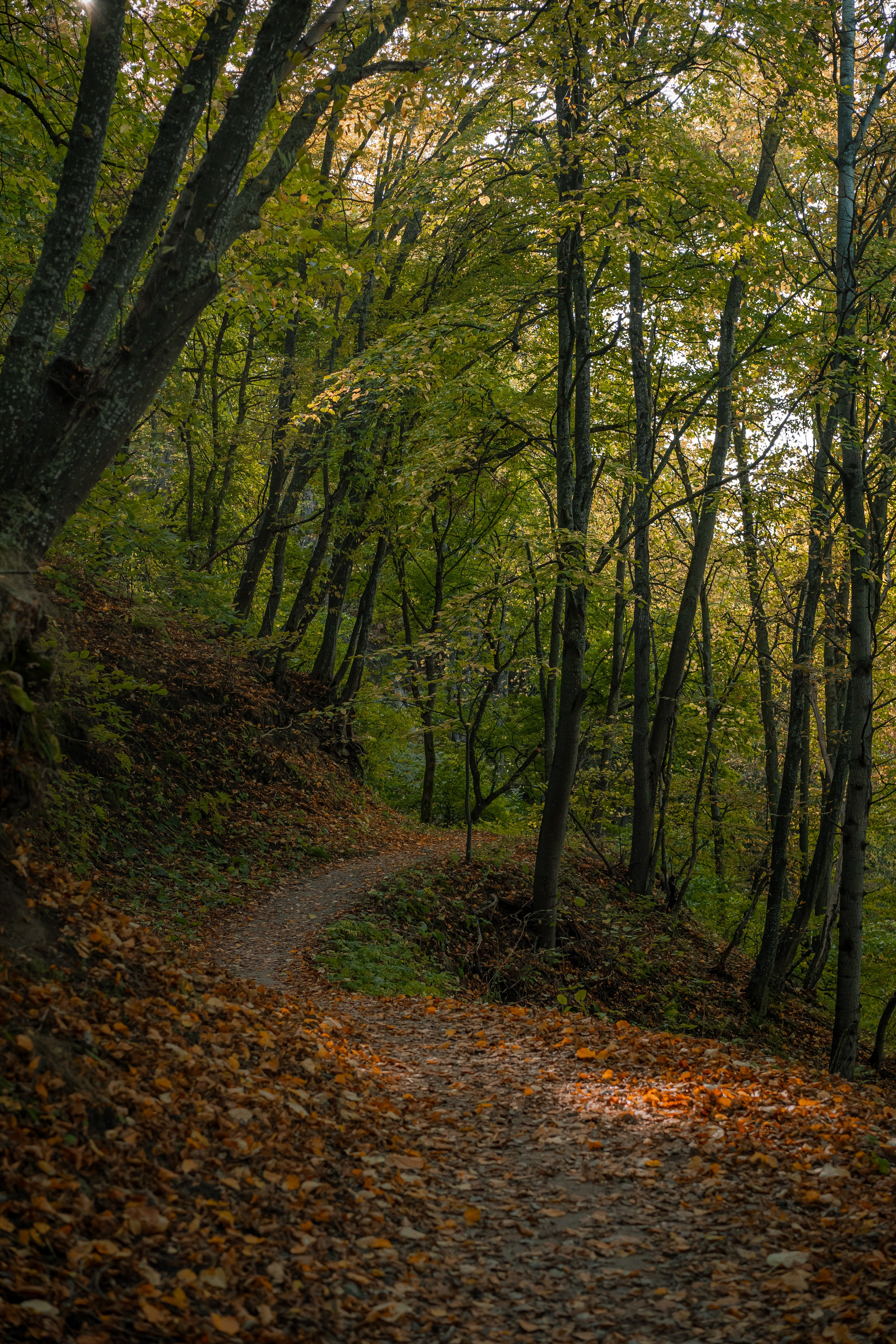 Кисловодск, терренкуры национального парка. Юля Дэй • Фотограф, Санкт-Петербург