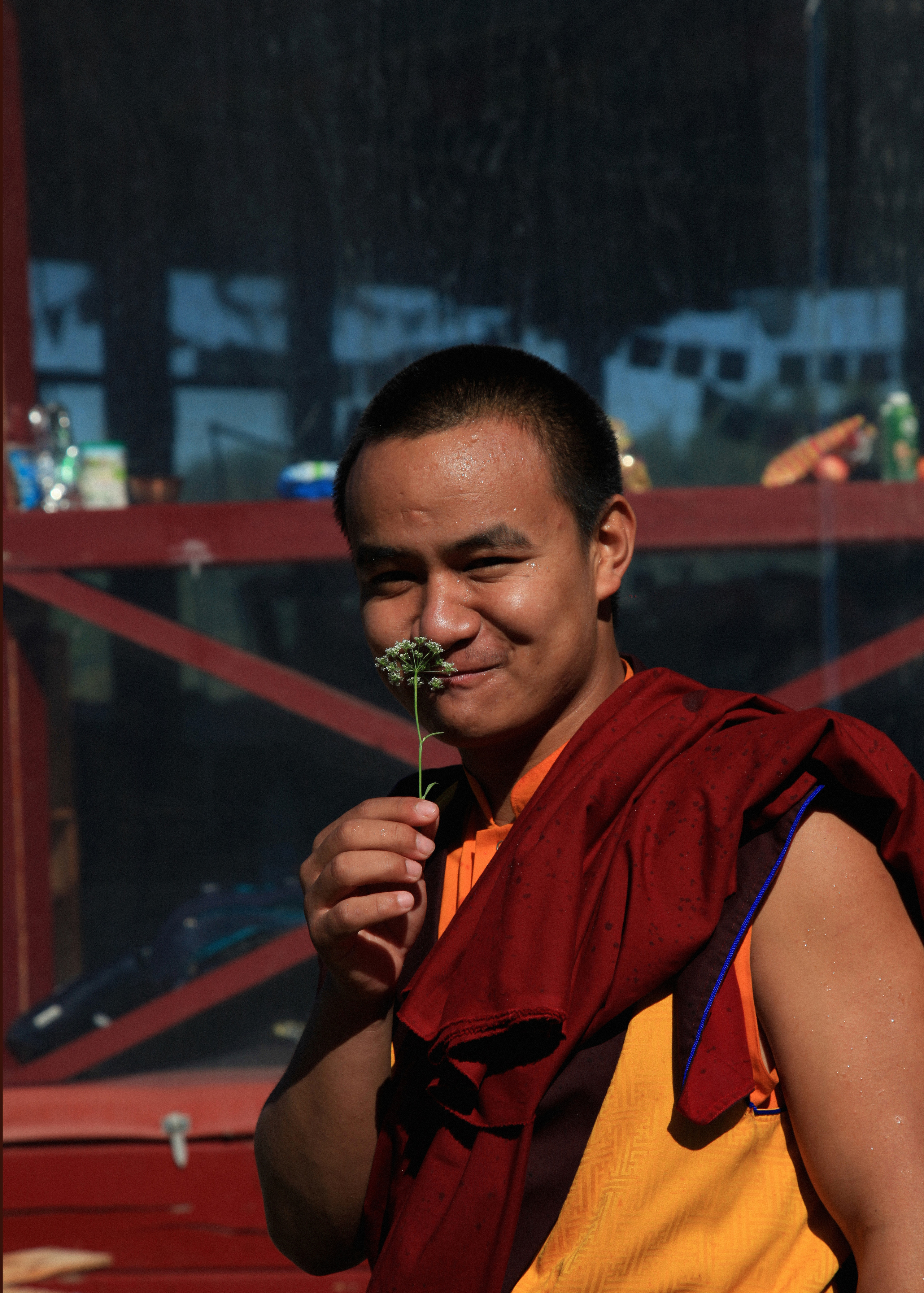 ДРУБЧЕН. Фотография, как она есть