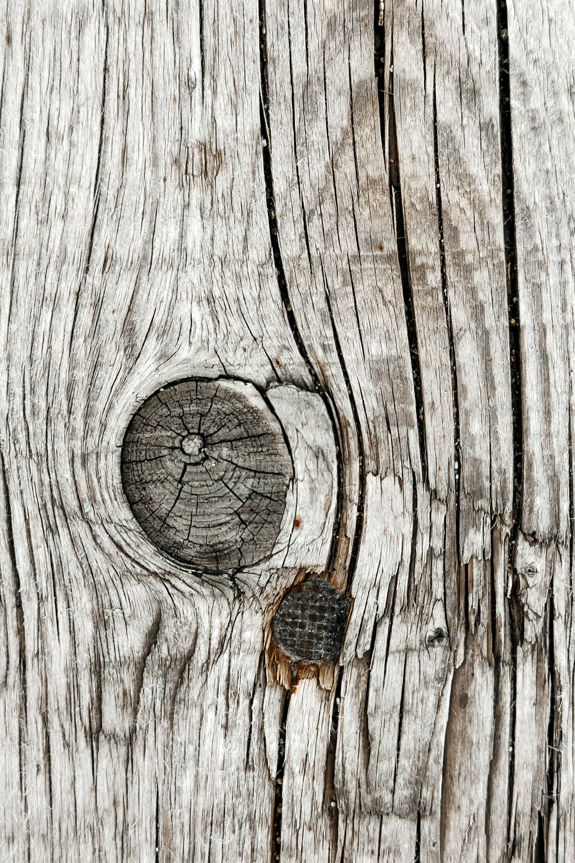 Абстракция. Команда фотографов Кристины Ивановой