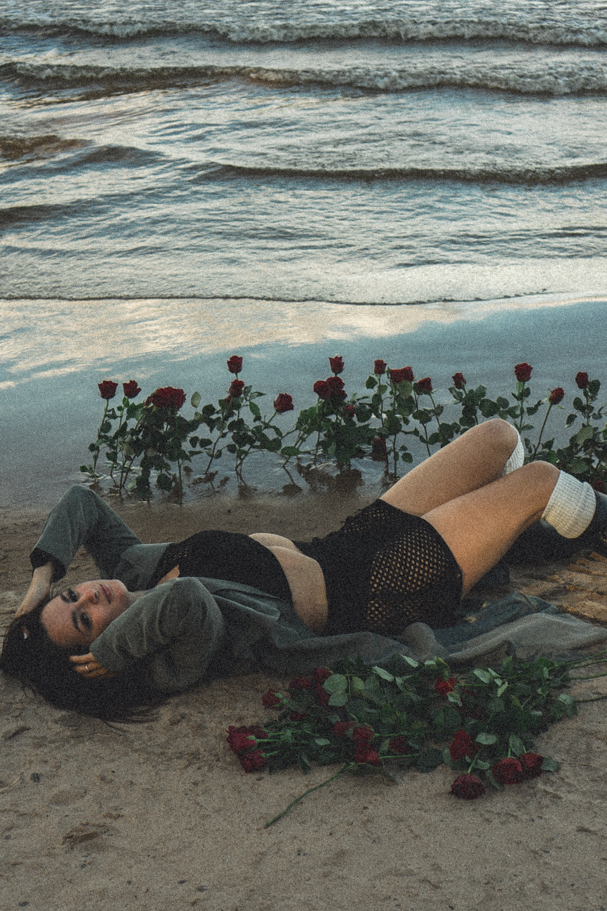 Розы. Профессиональный фотограф, Санкт-Петербург — Виктория Богомолова