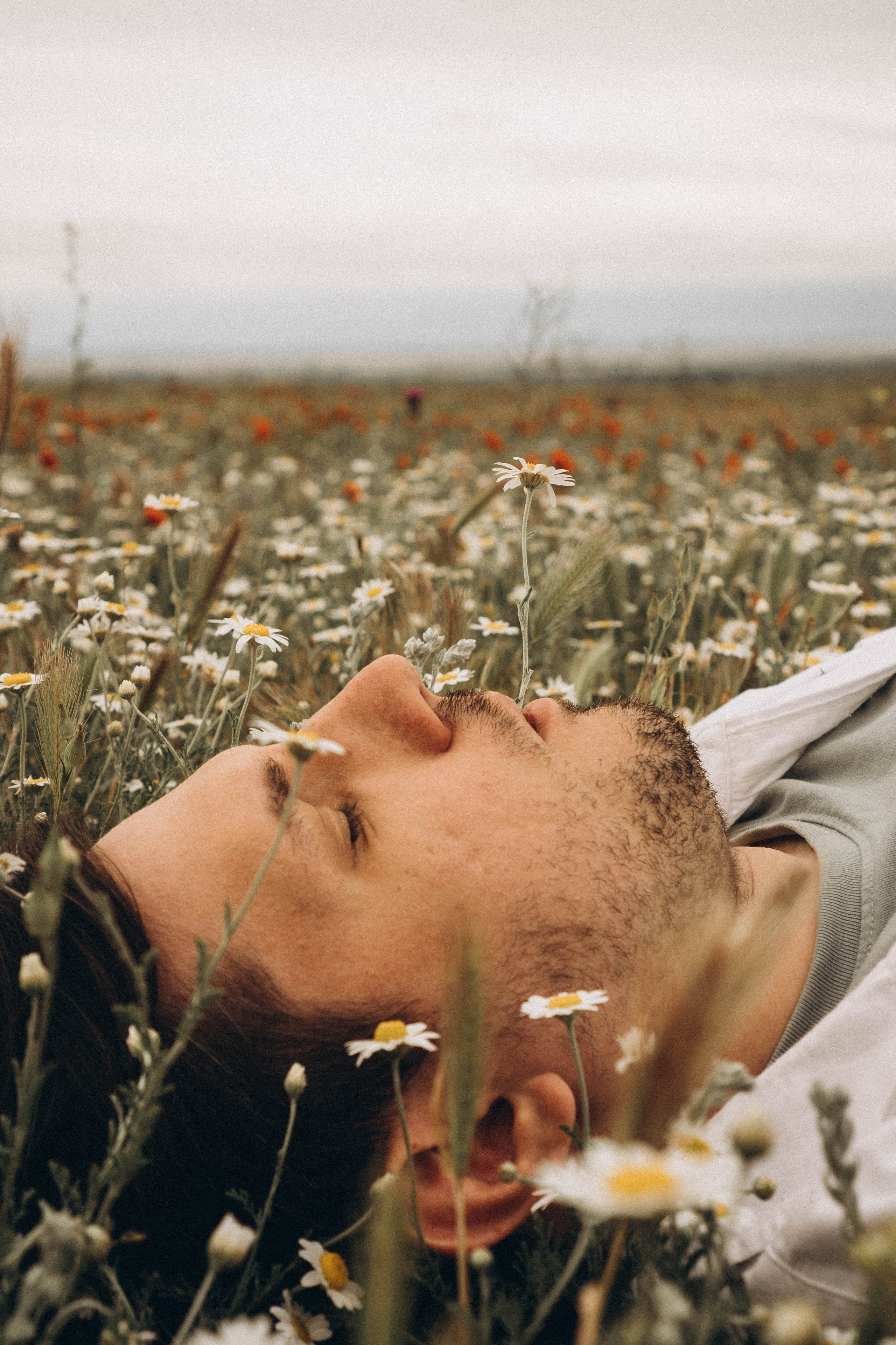 Маки. Профессиональный фотограф, Санкт-Петербург — Виктория Богомолова