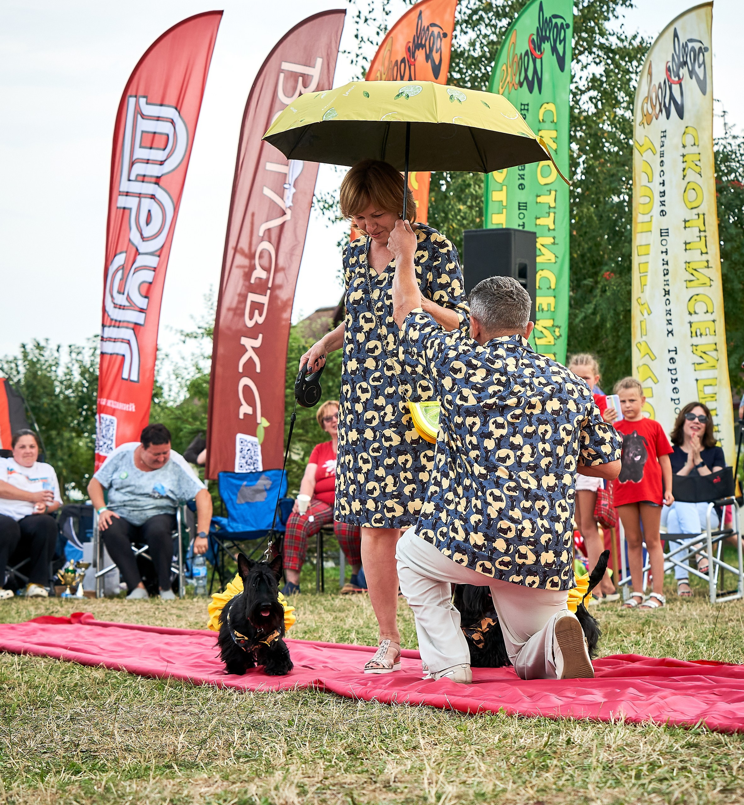 Мероприятия с собаками — галерея NATRIEL