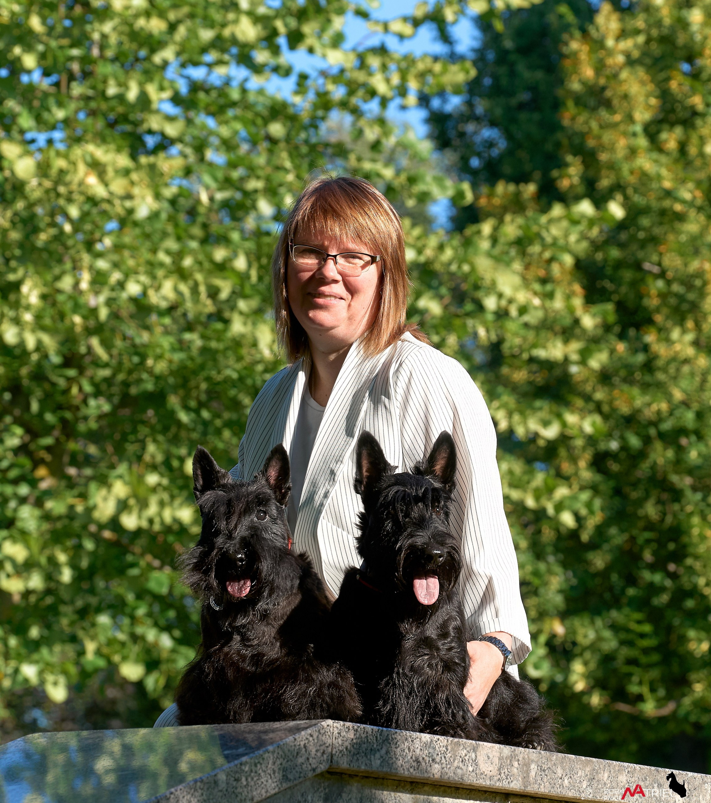 Семейная фотопрогулка с собаками