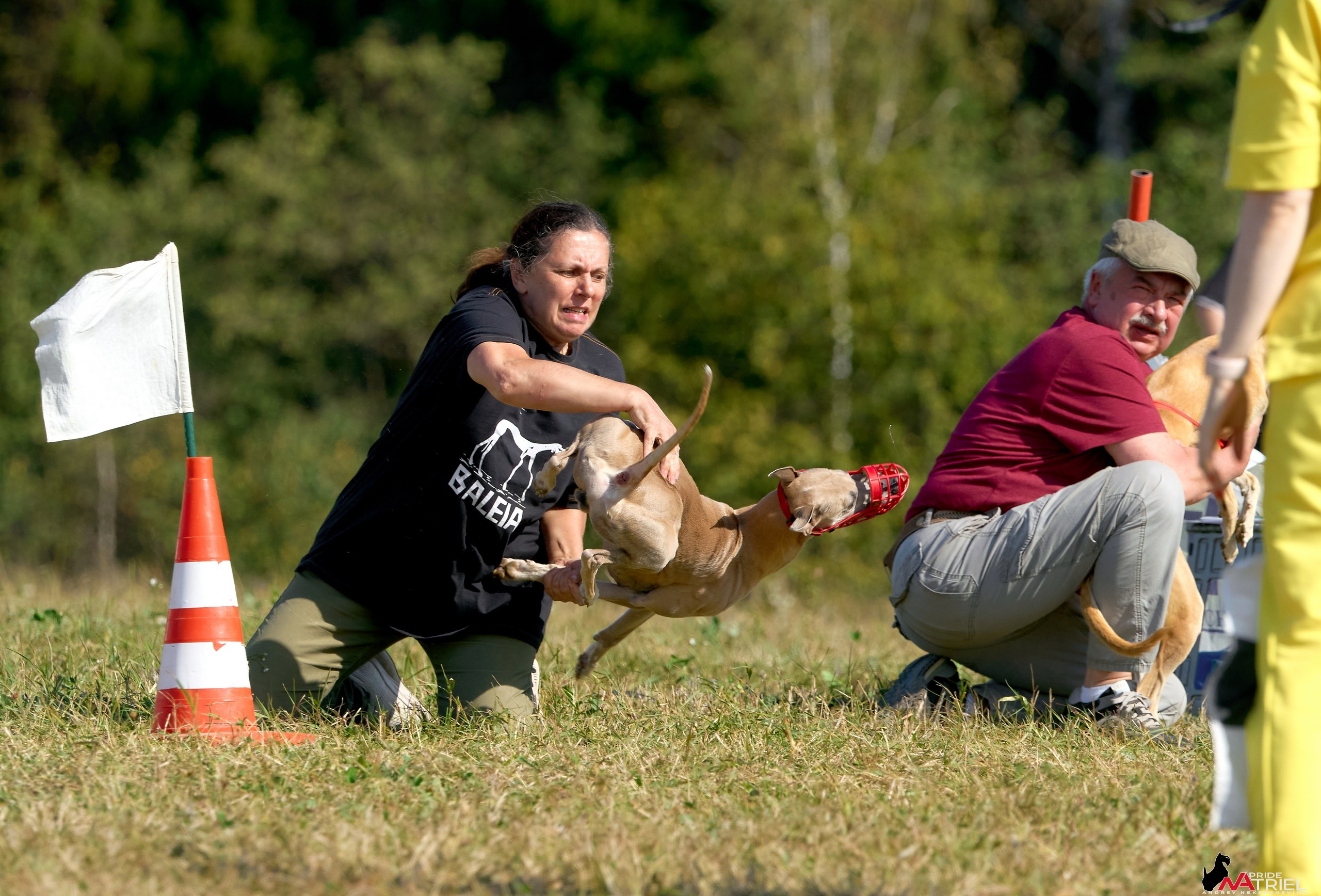 Съемка курсинг — галерея NATRIEL