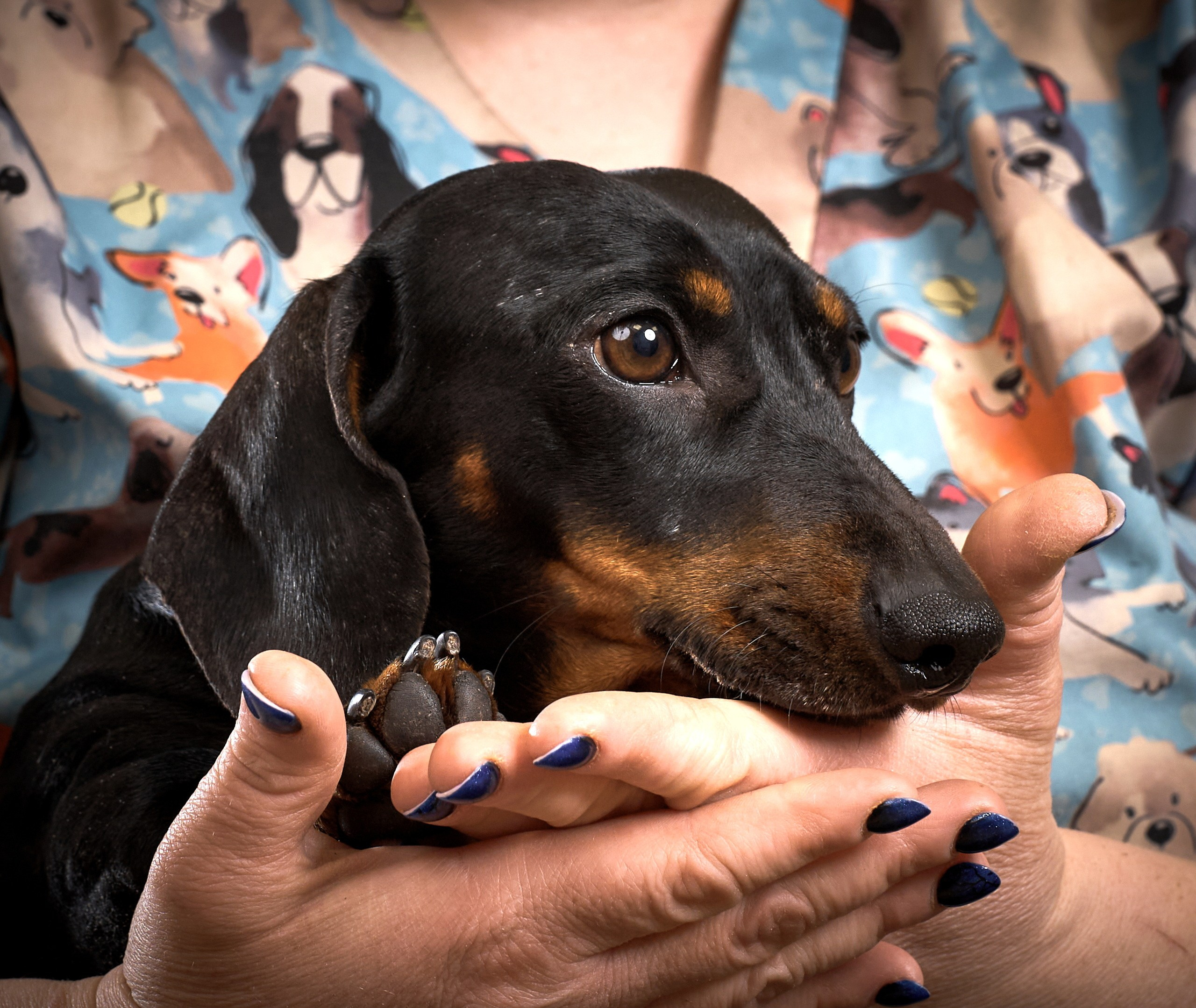 Репортаж GROOM с мобильным светом