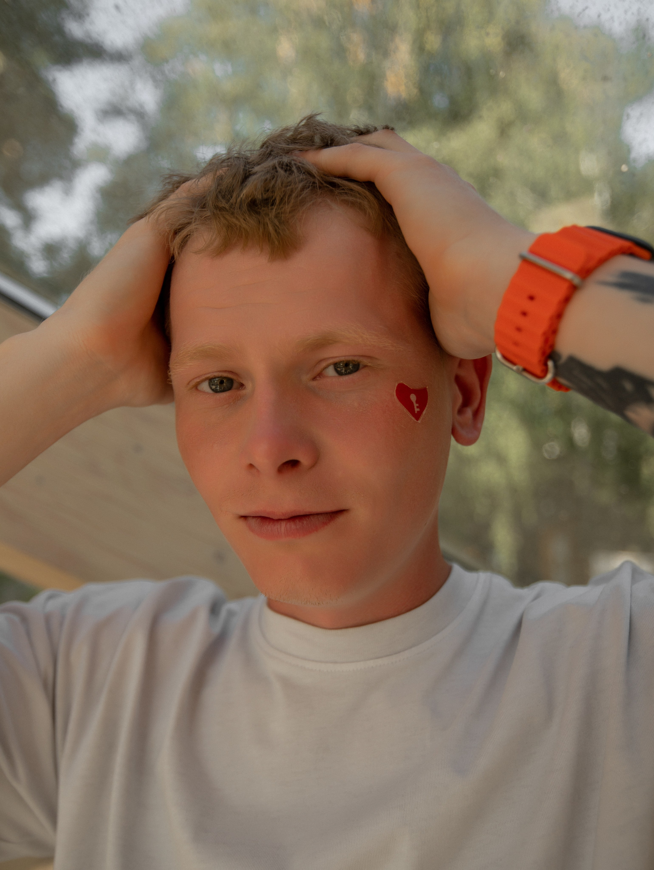 Вершинин Дмитрий. Promodels