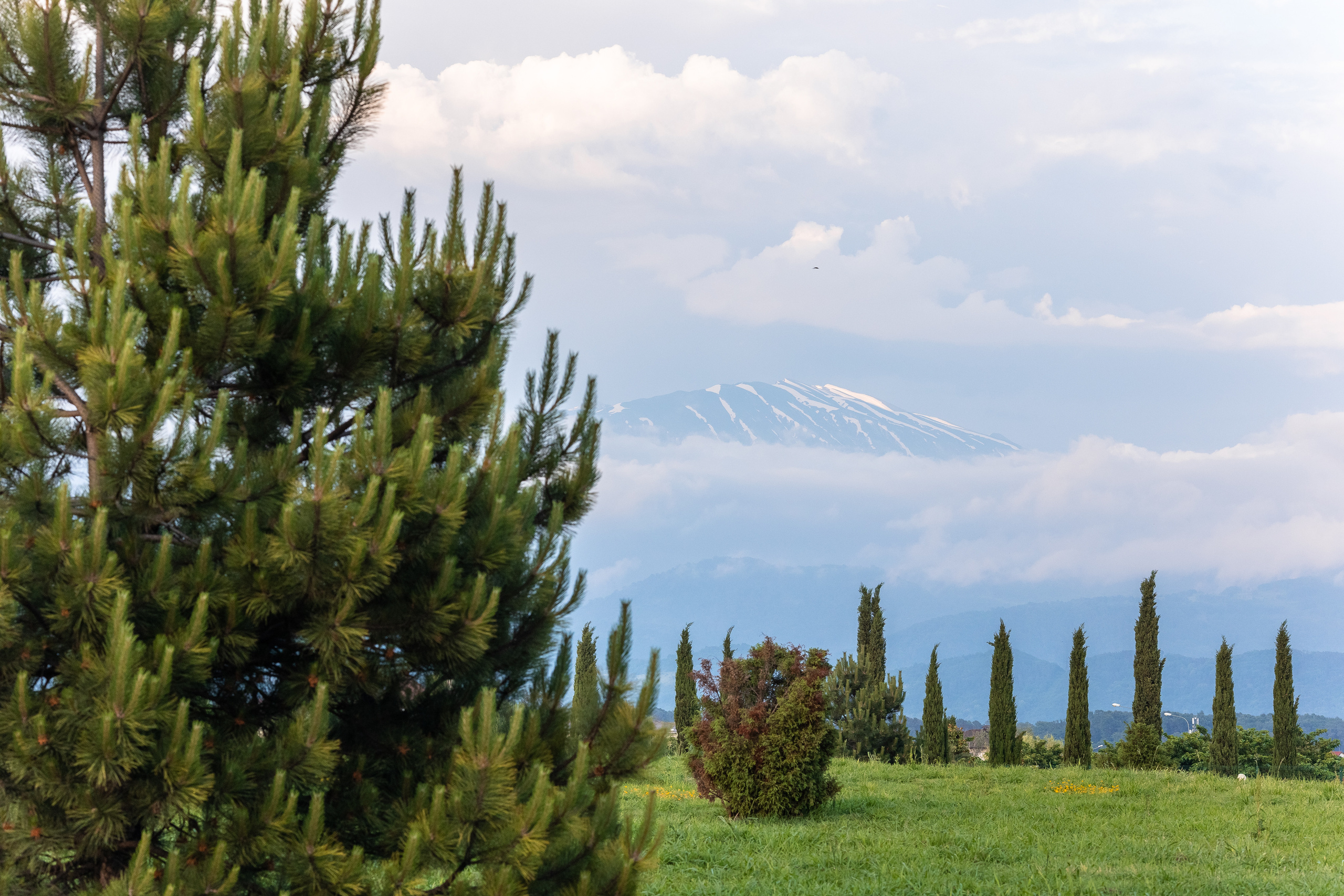 В Орнитологическом парке. Фотосъёмка Сочи, Адлер, Красная Поляна