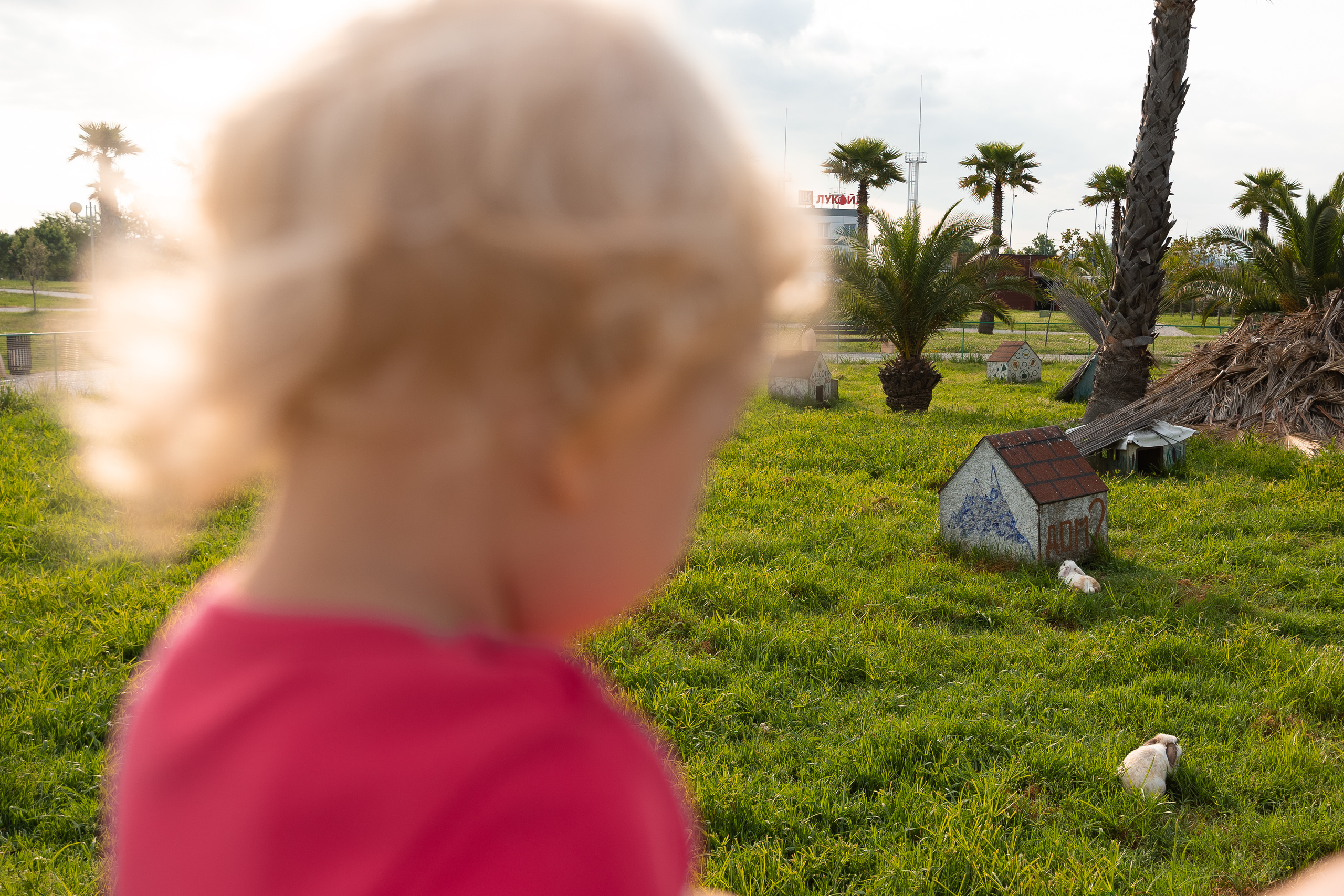 В Орнитологическом парке. Фотосъёмка Сочи, Адлер, Красная Поляна