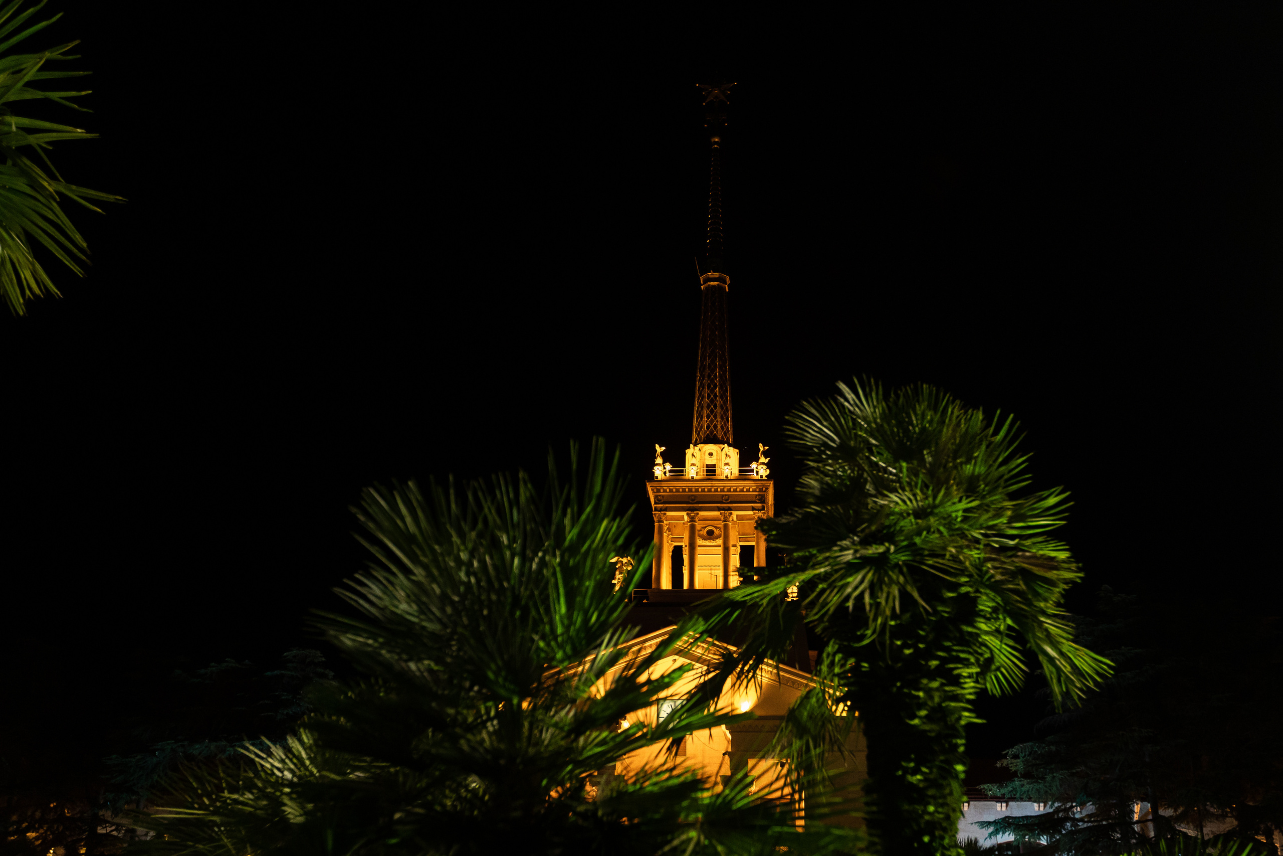 Вечеринка Олеси и Димы. Фотосъёмка Сочи, Адлер, Красная Поляна