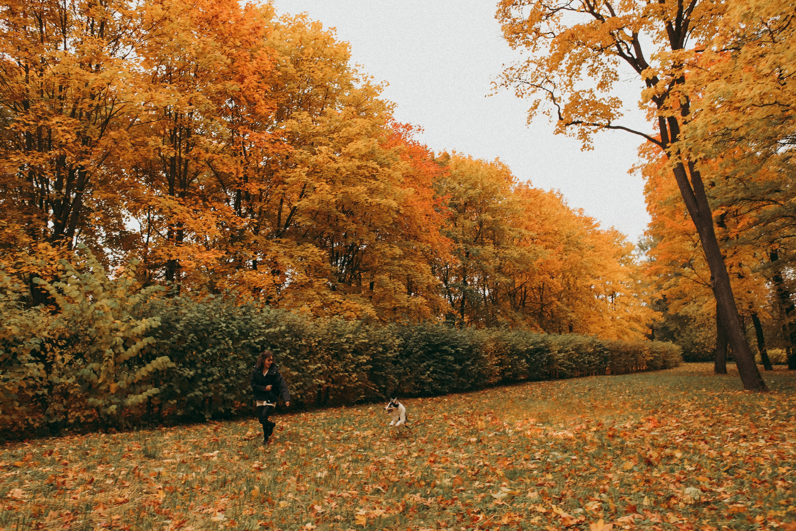 Натали и семья. Фотограф Москва и Санкт-Петербург