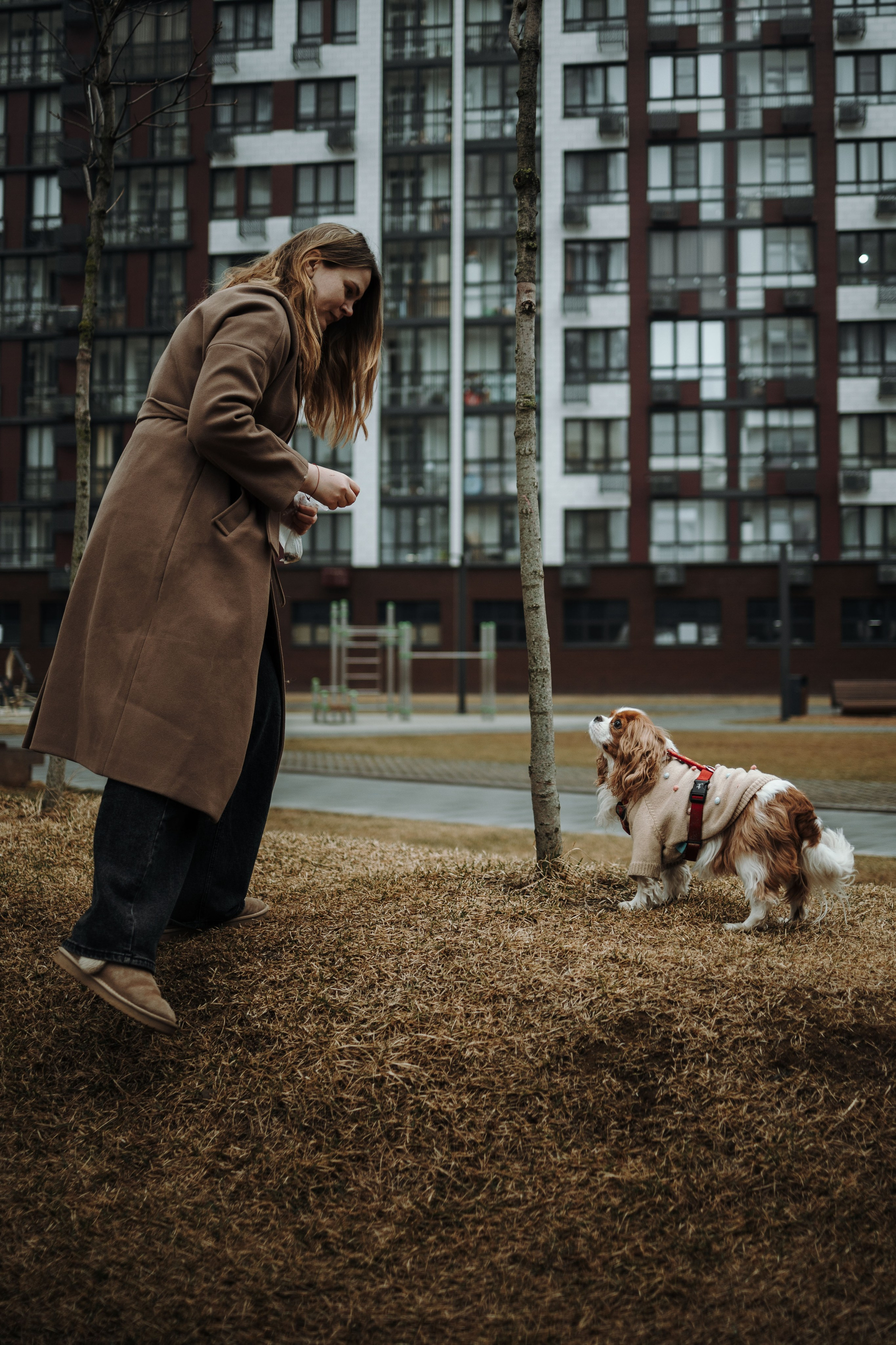 Любовь и Альтаир