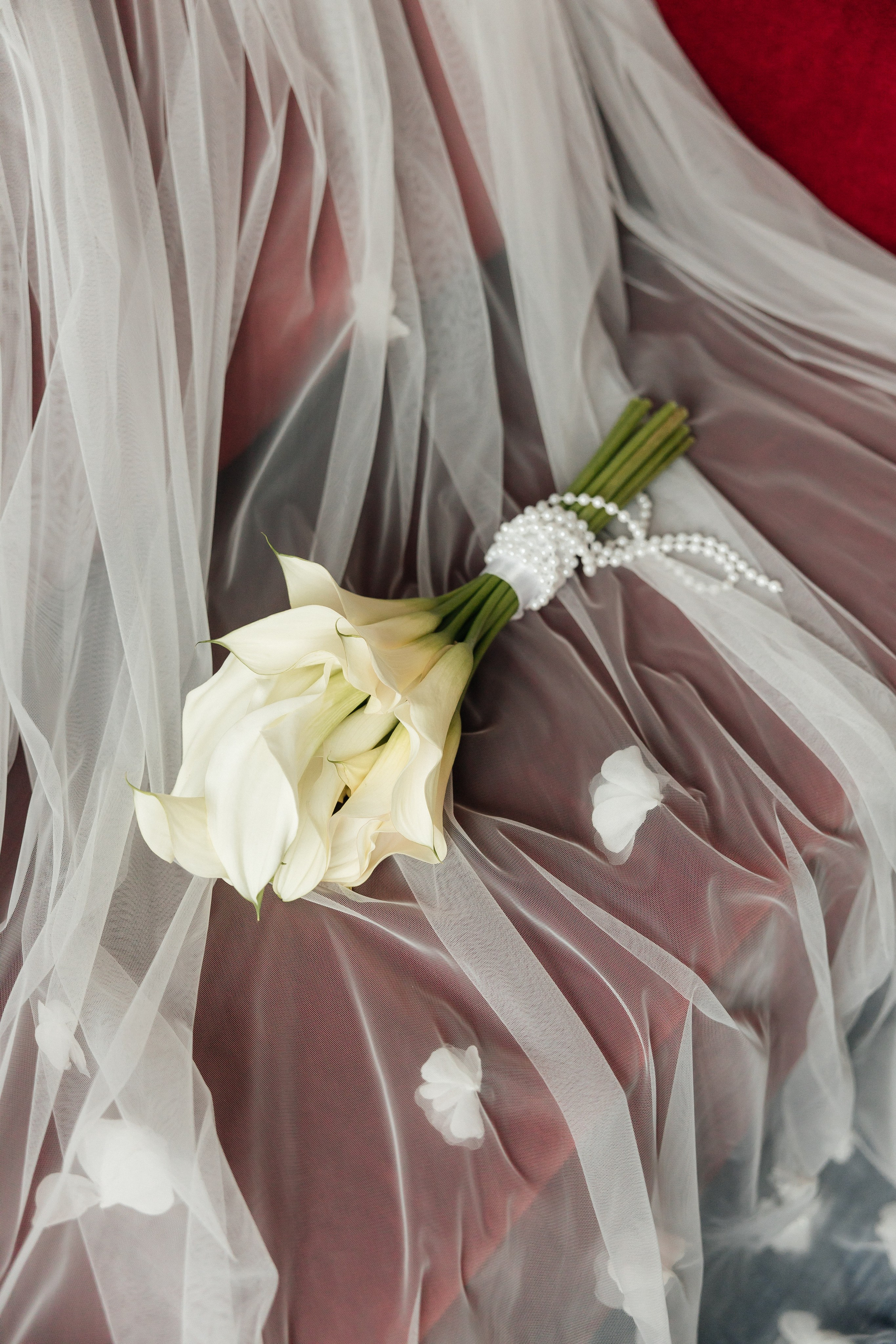 Мария и Сергей. Свадебный и Семейный фотограф Свекрова Ольга