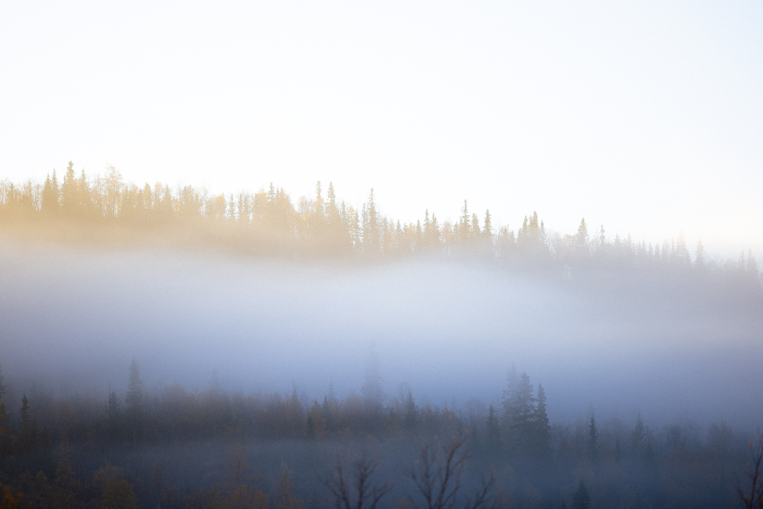 Кольский. Фотограф и видеограф анималист Аганина Дарья