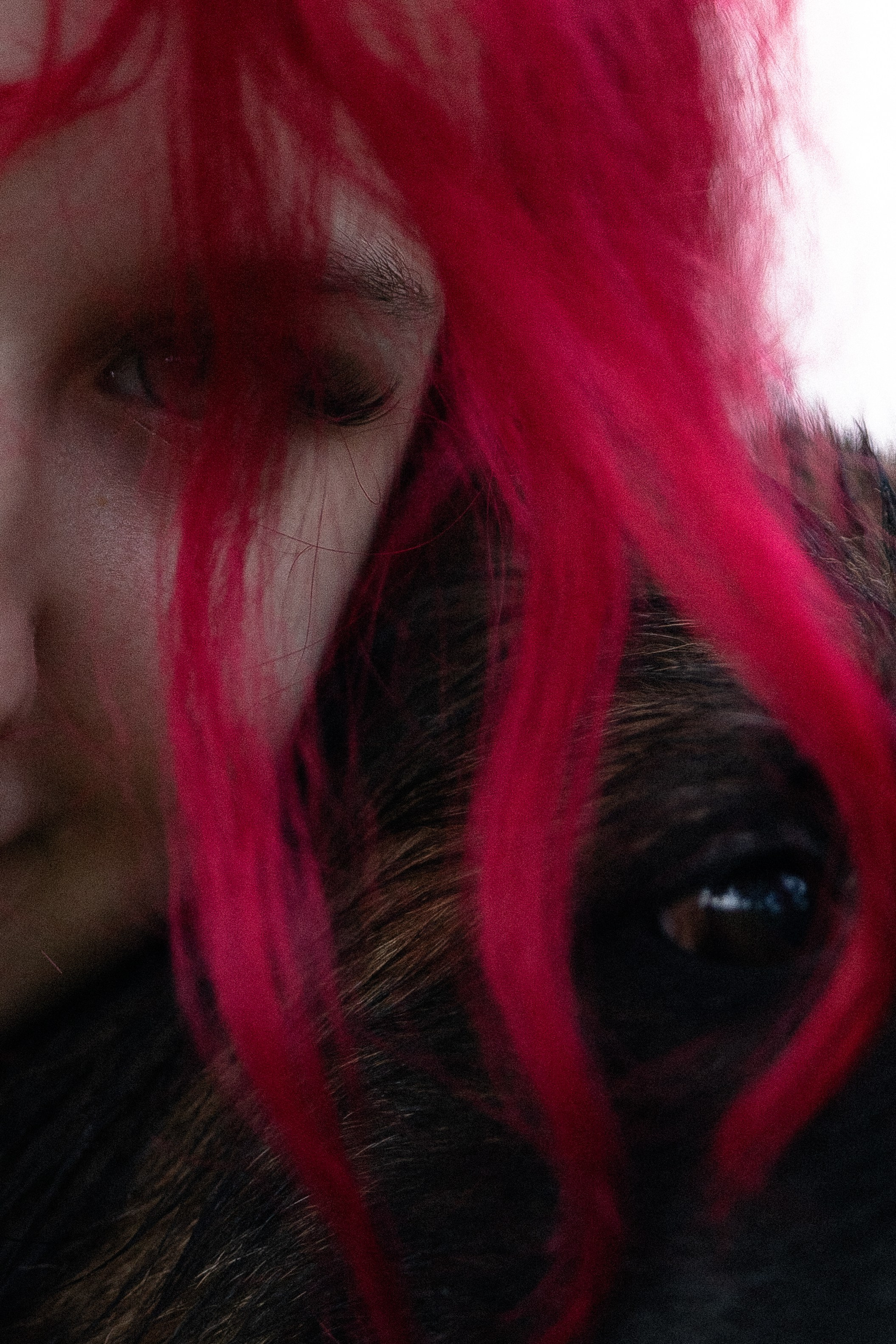 Алена, Фанни и Фрея. Фотограф и видеограф анималист Аганина Дарья