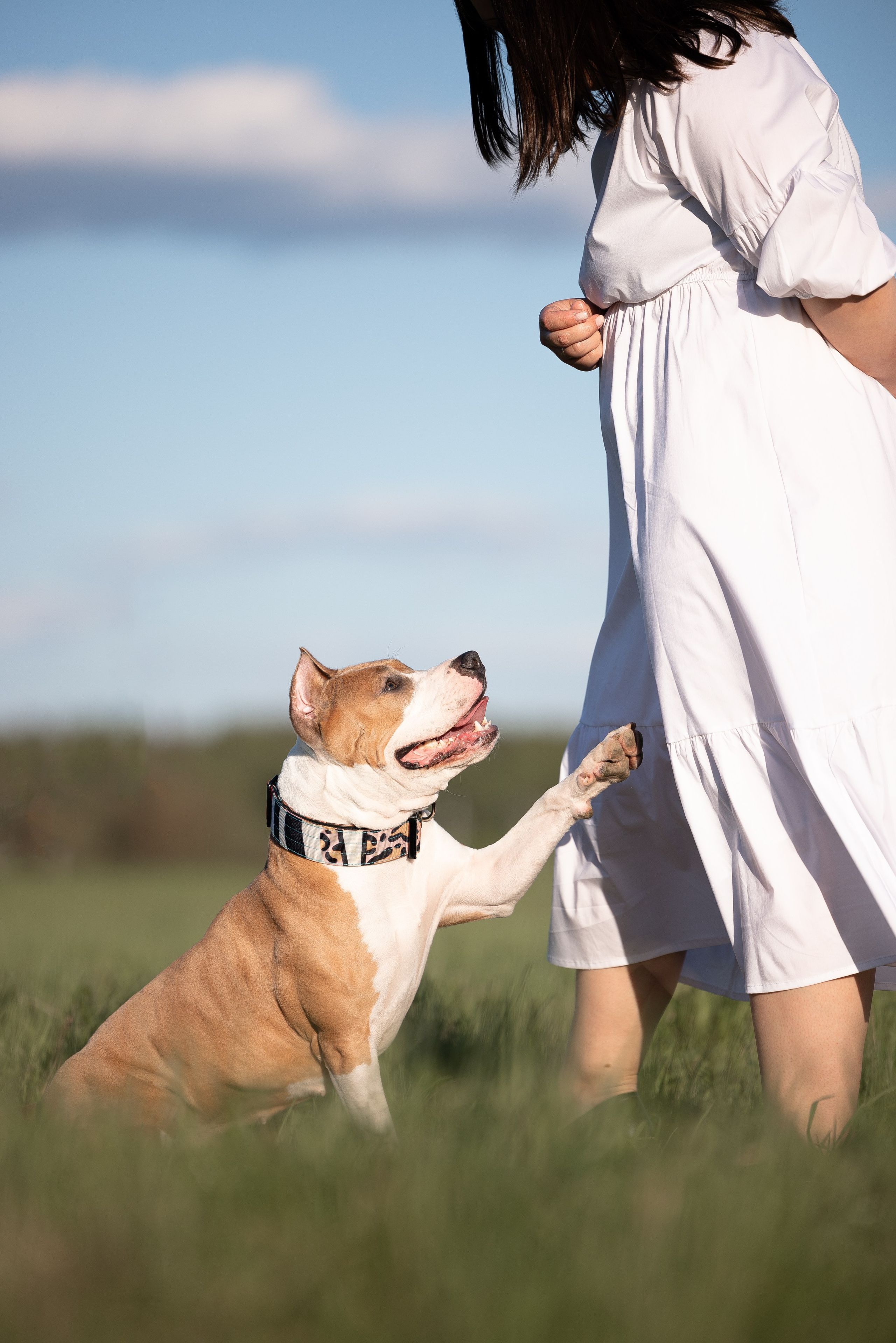 Шуня и ее семья. Фотограф и видеограф анималист Аганина Дарья