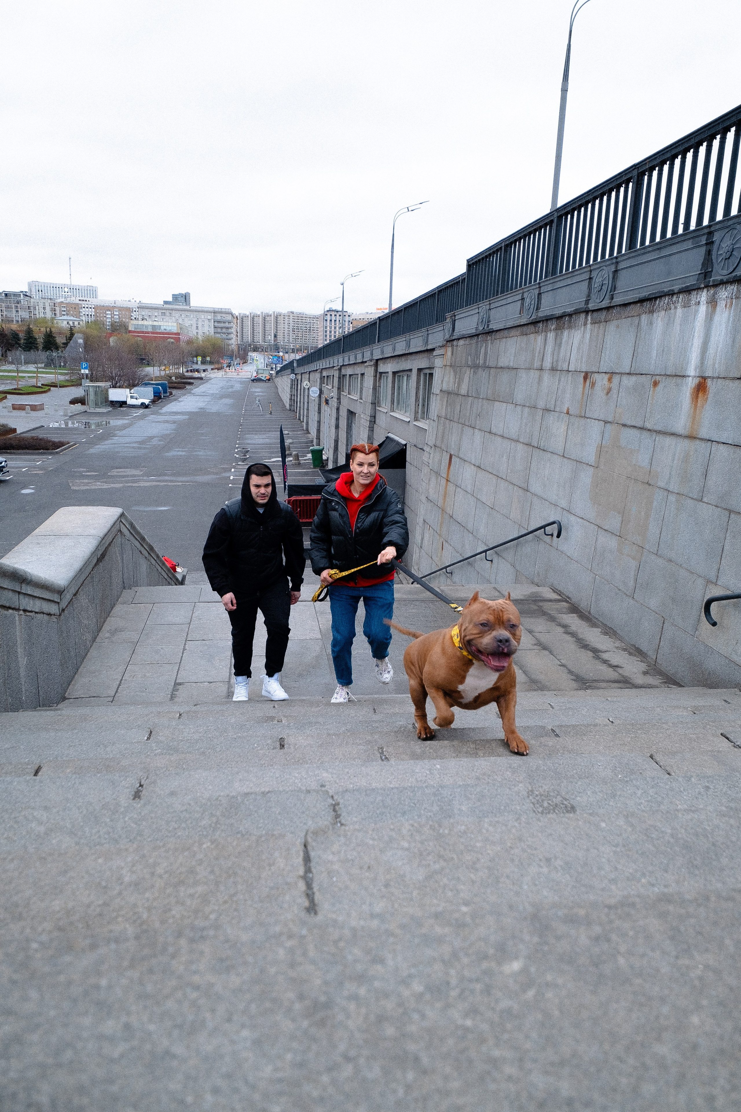Спай и его семья. Фотограф и видеограф анималист Аганина Дарья