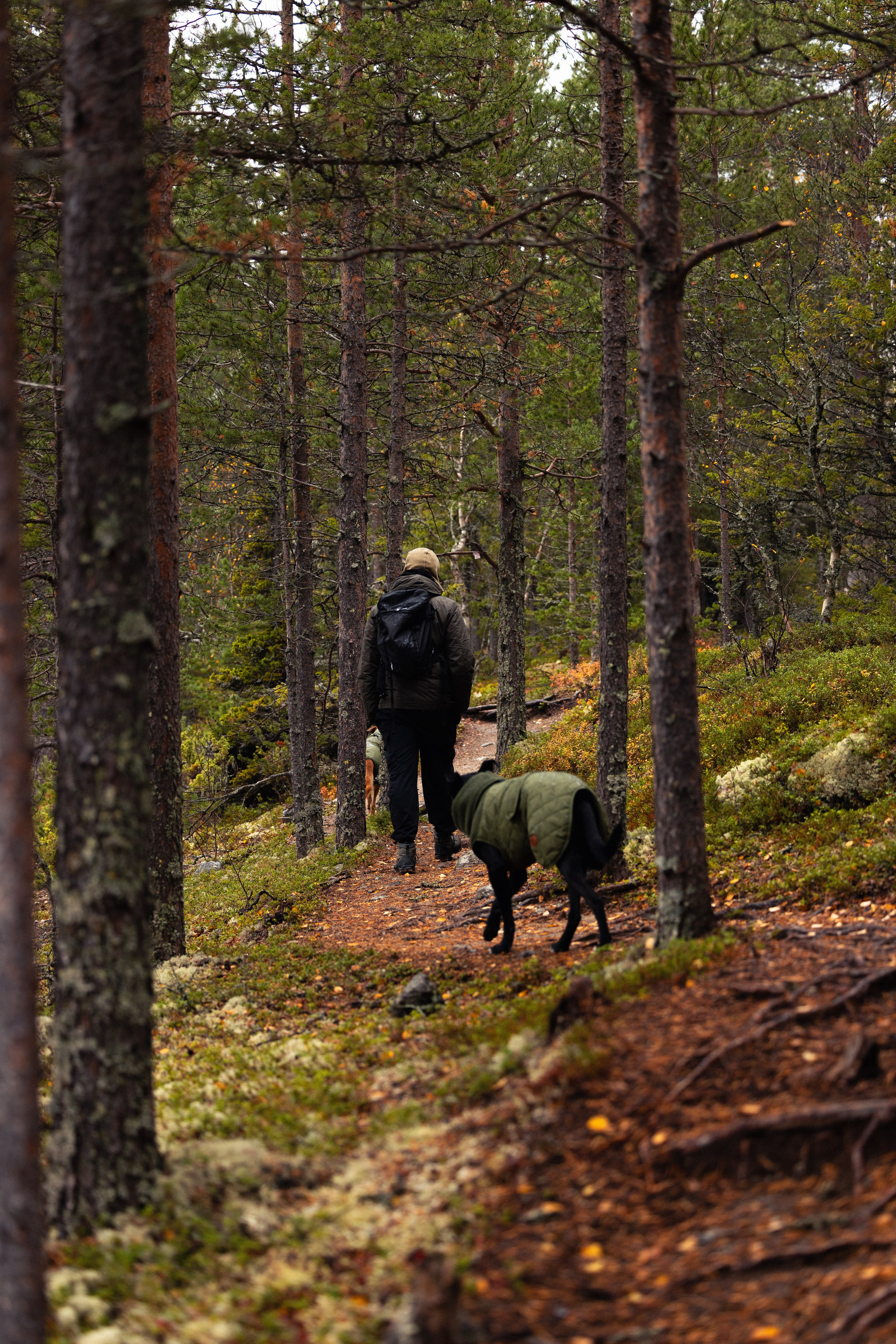 Кольский. Фотограф и видеограф анималист Аганина Дарья